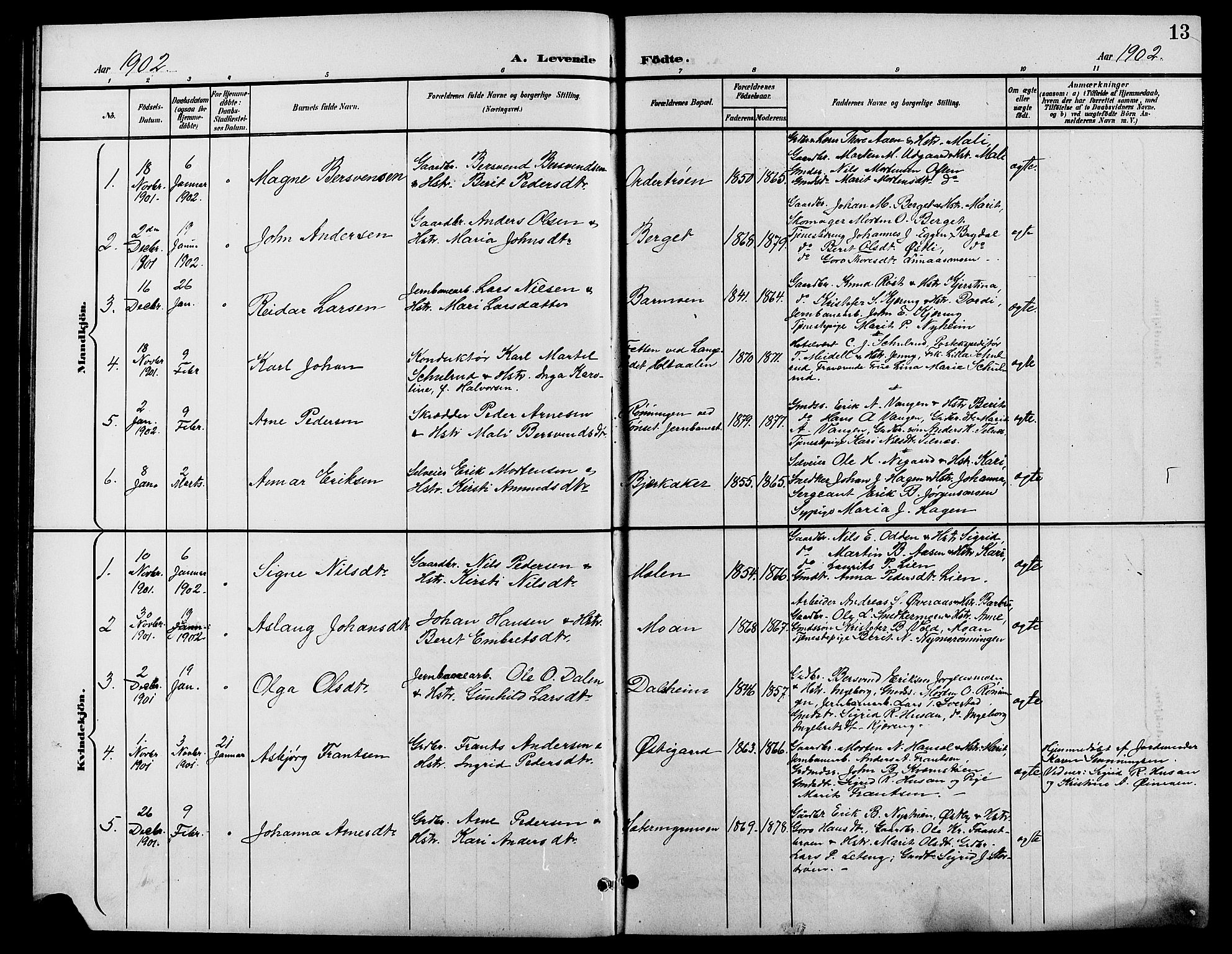 Tynset prestekontor, AV/SAH-PREST-058/H/Ha/Hab/L0009: Parish register (copy) no. 9, 1900-1914, p. 13