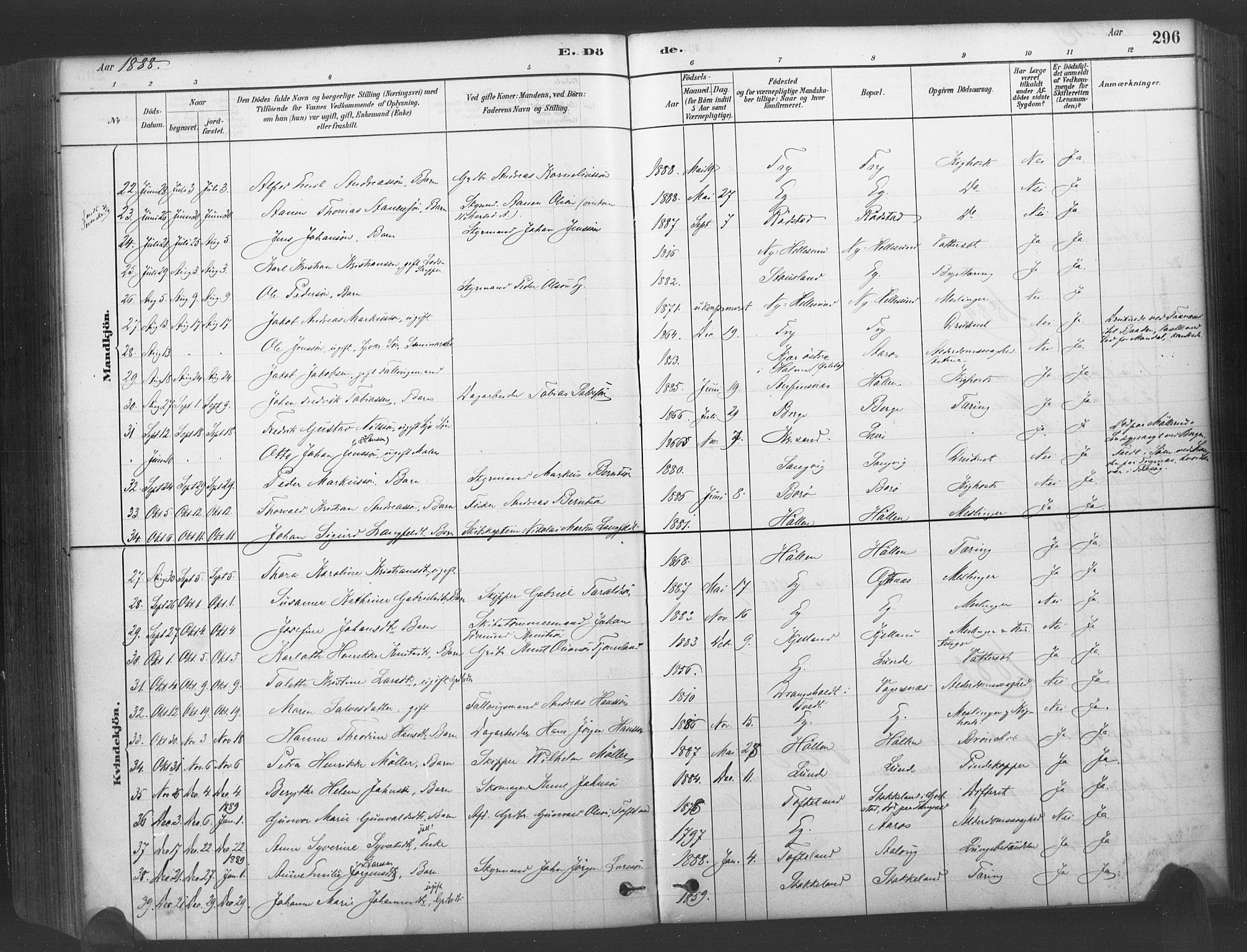Søgne sokneprestkontor, SAK/1111-0037/F/Fa/Fab/L0012: Parish register (official) no. A 12, 1880-1891, p. 296
