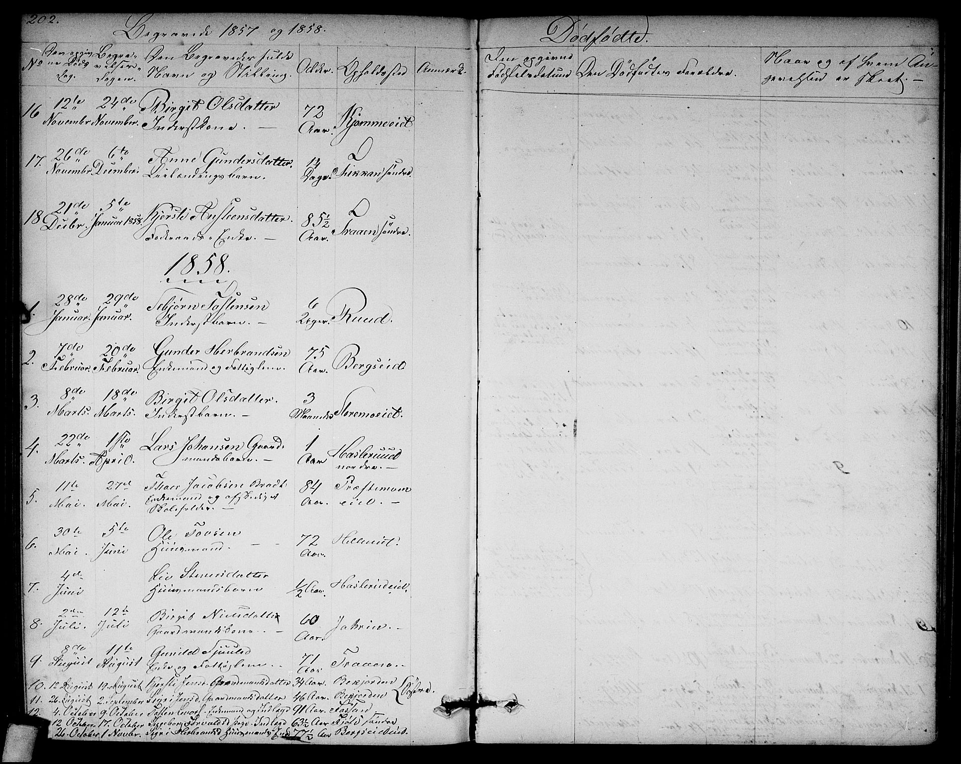 Rollag kirkebøker, SAKO/A-240/G/Ga/L0003: Parish register (copy) no. I 3, 1856-1887, p. 202