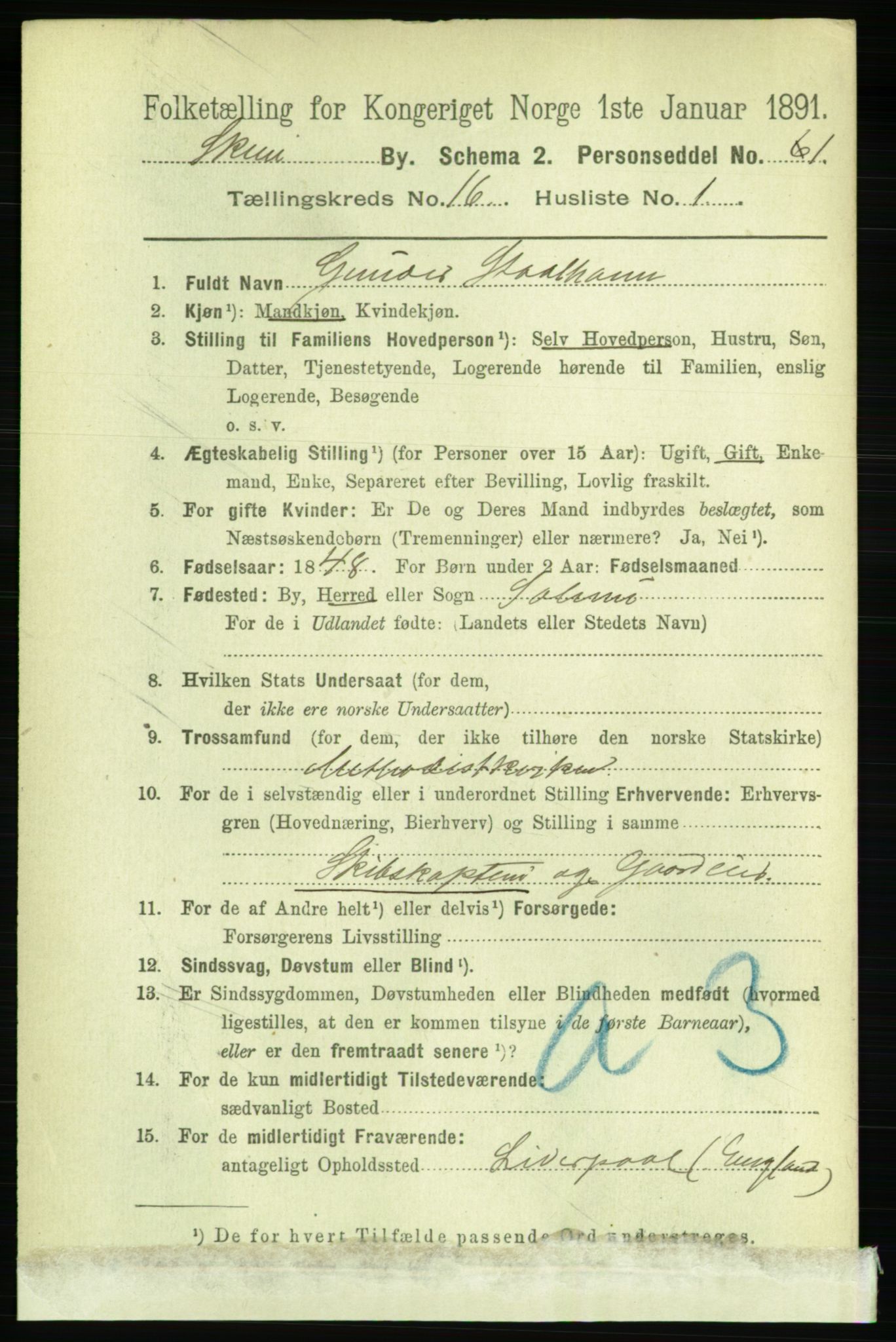 RA, 1891 census for 0806 Skien, 1891, p. 4554