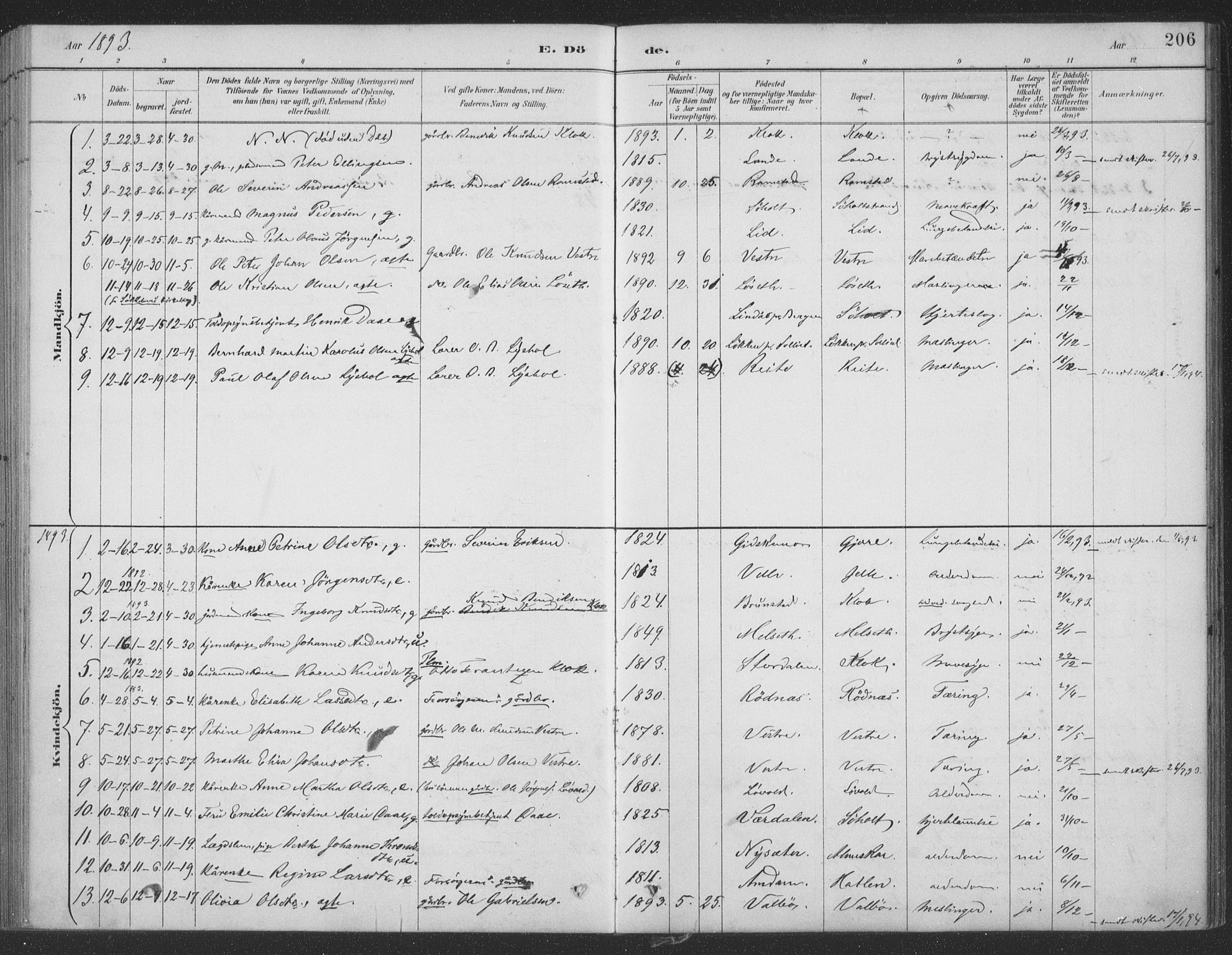 Ministerialprotokoller, klokkerbøker og fødselsregistre - Møre og Romsdal, AV/SAT-A-1454/522/L0316: Parish register (official) no. 522A11, 1890-1911, p. 206