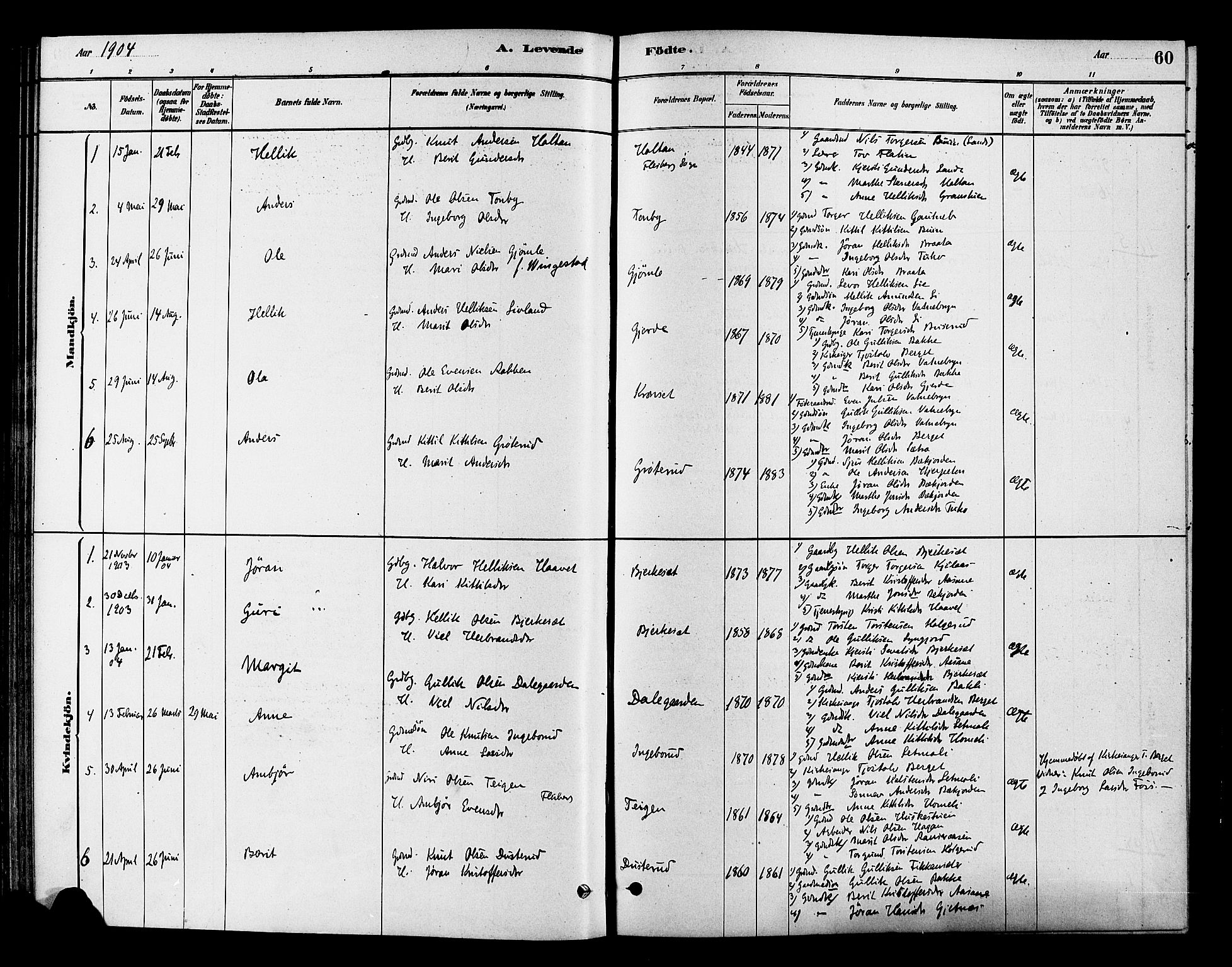 Flesberg kirkebøker, SAKO/A-18/F/Fc/L0001: Parish register (official) no. III 1, 1879-1905, p. 60