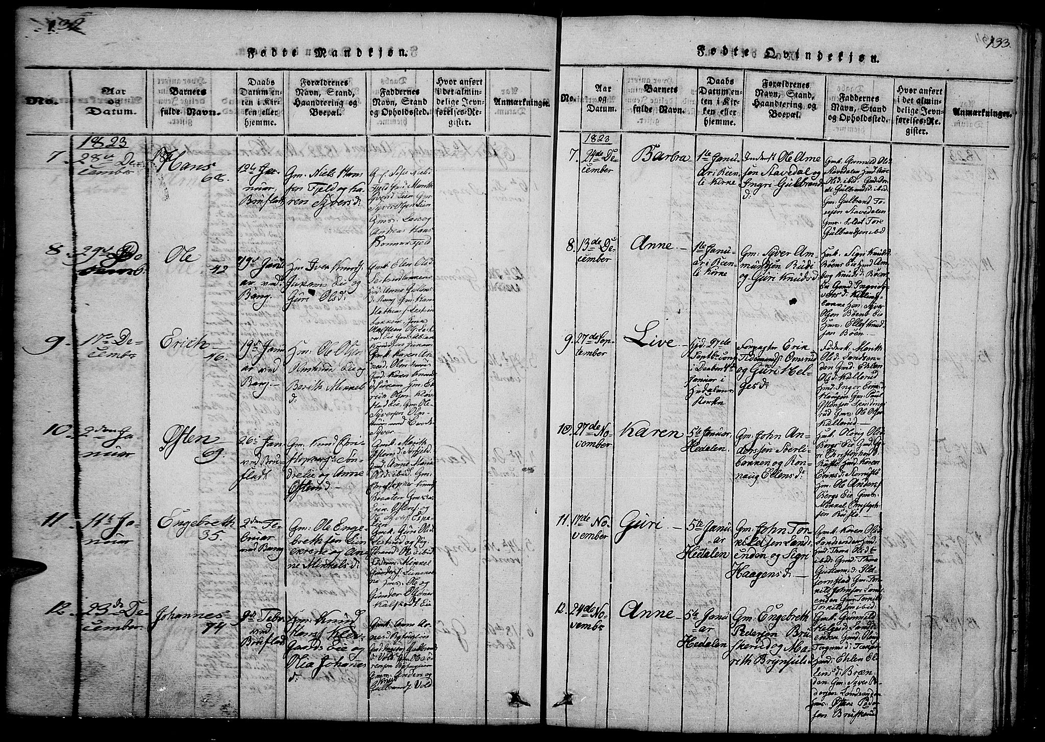Sør-Aurdal prestekontor, SAH/PREST-128/H/Ha/Hab/L0001: Parish register (copy) no. 1, 1815-1826, p. 132-133