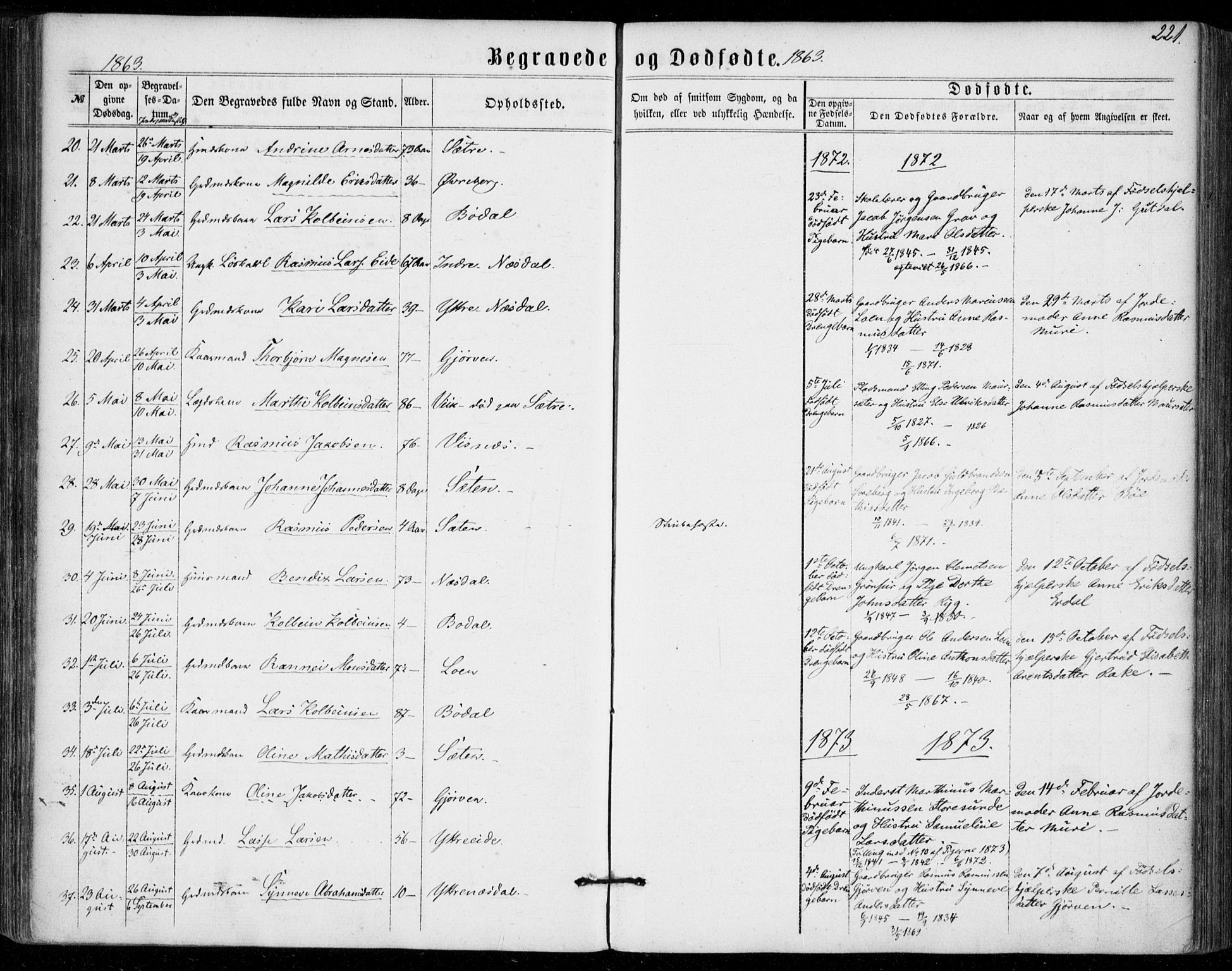 Stryn Sokneprestembete, AV/SAB-A-82501: Parish register (official) no. A 3, 1862-1877, p. 221