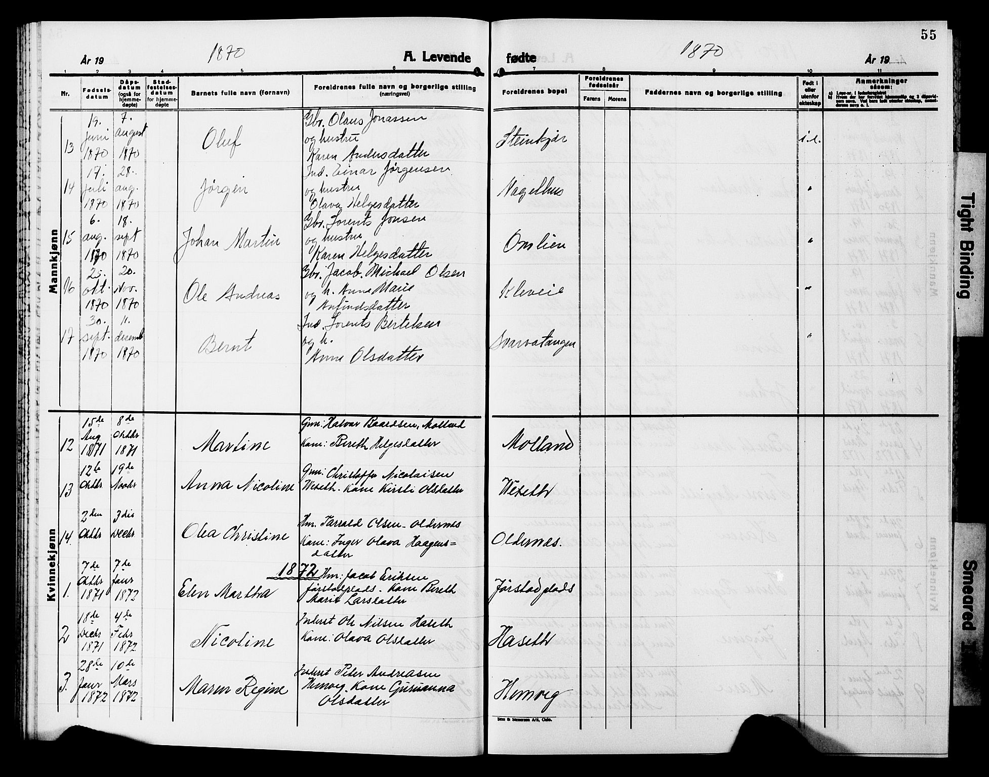 Ministerialprotokoller, klokkerbøker og fødselsregistre - Nord-Trøndelag, AV/SAT-A-1458/749/L0485: Parish register (official) no. 749D01, 1857-1872, p. 55