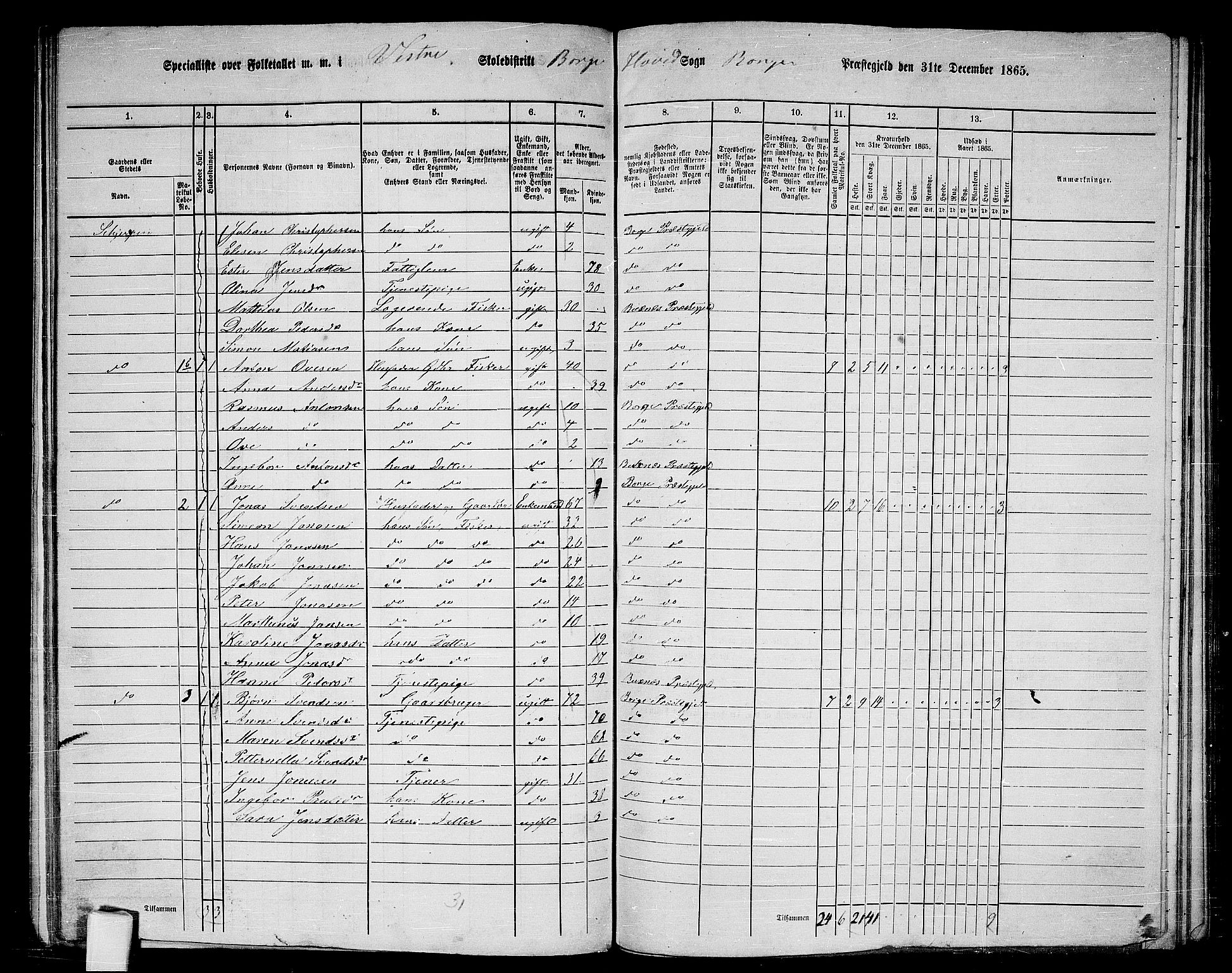 RA, 1865 census for Borge, 1865, p. 17