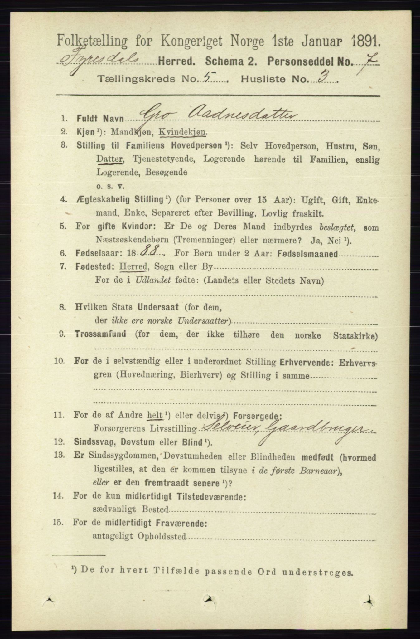 RA, 1891 census for 0831 Fyresdal, 1891, p. 1304