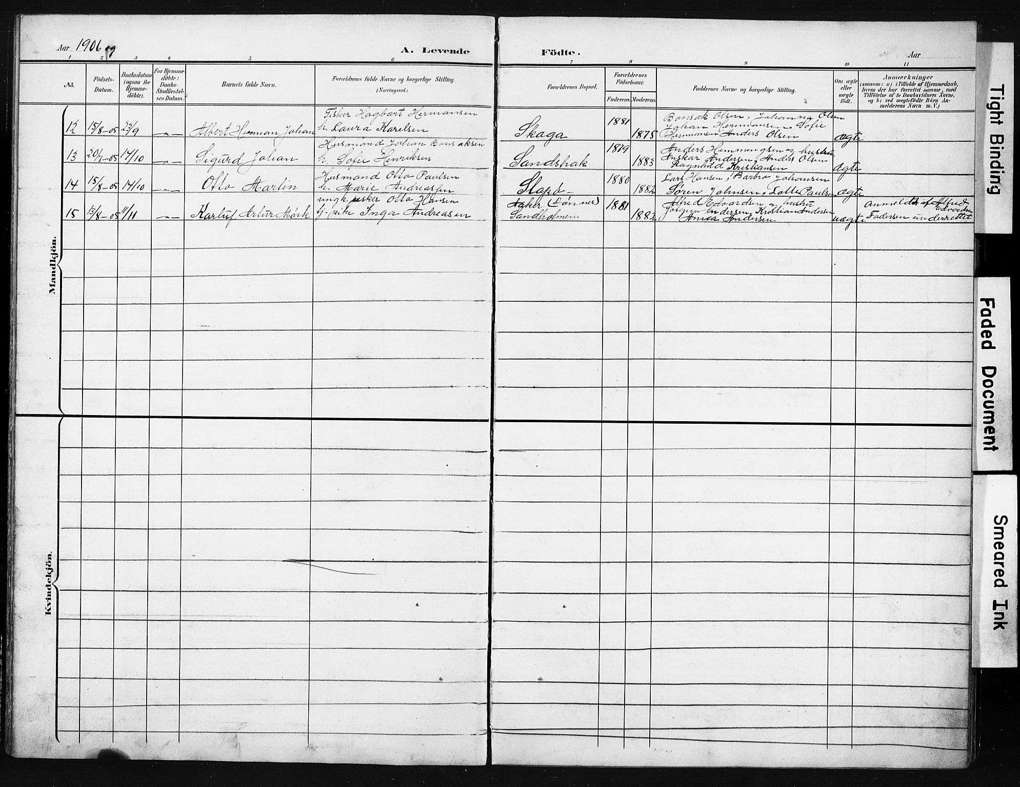 Ministerialprotokoller, klokkerbøker og fødselsregistre - Nordland, AV/SAT-A-1459/836/L0538: Parish register (copy) no. 836C02, 1901-1917