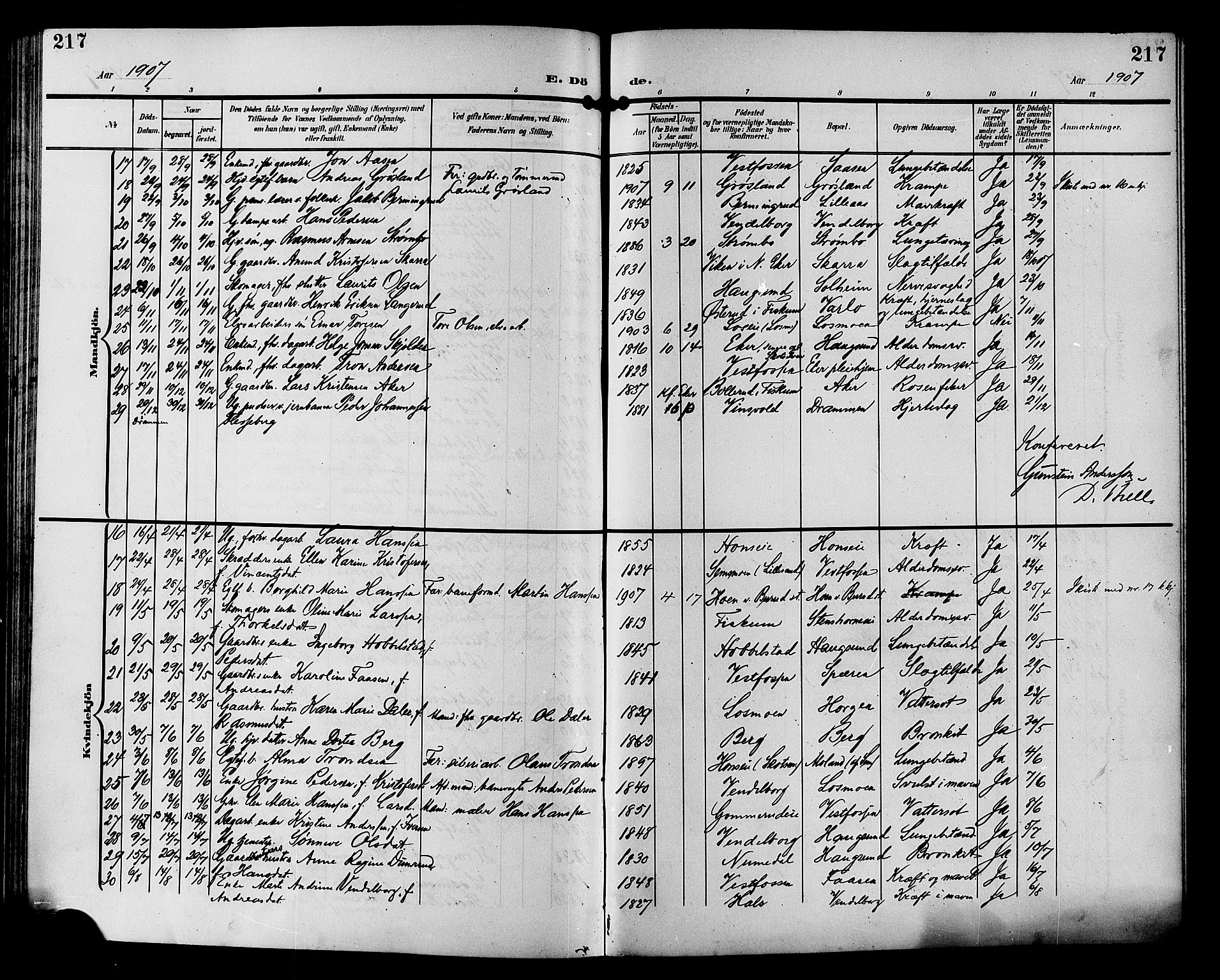 Eiker kirkebøker, SAKO/A-4/G/Ga/L0008: Parish register (copy) no. I 8, 1903-1914, p. 217