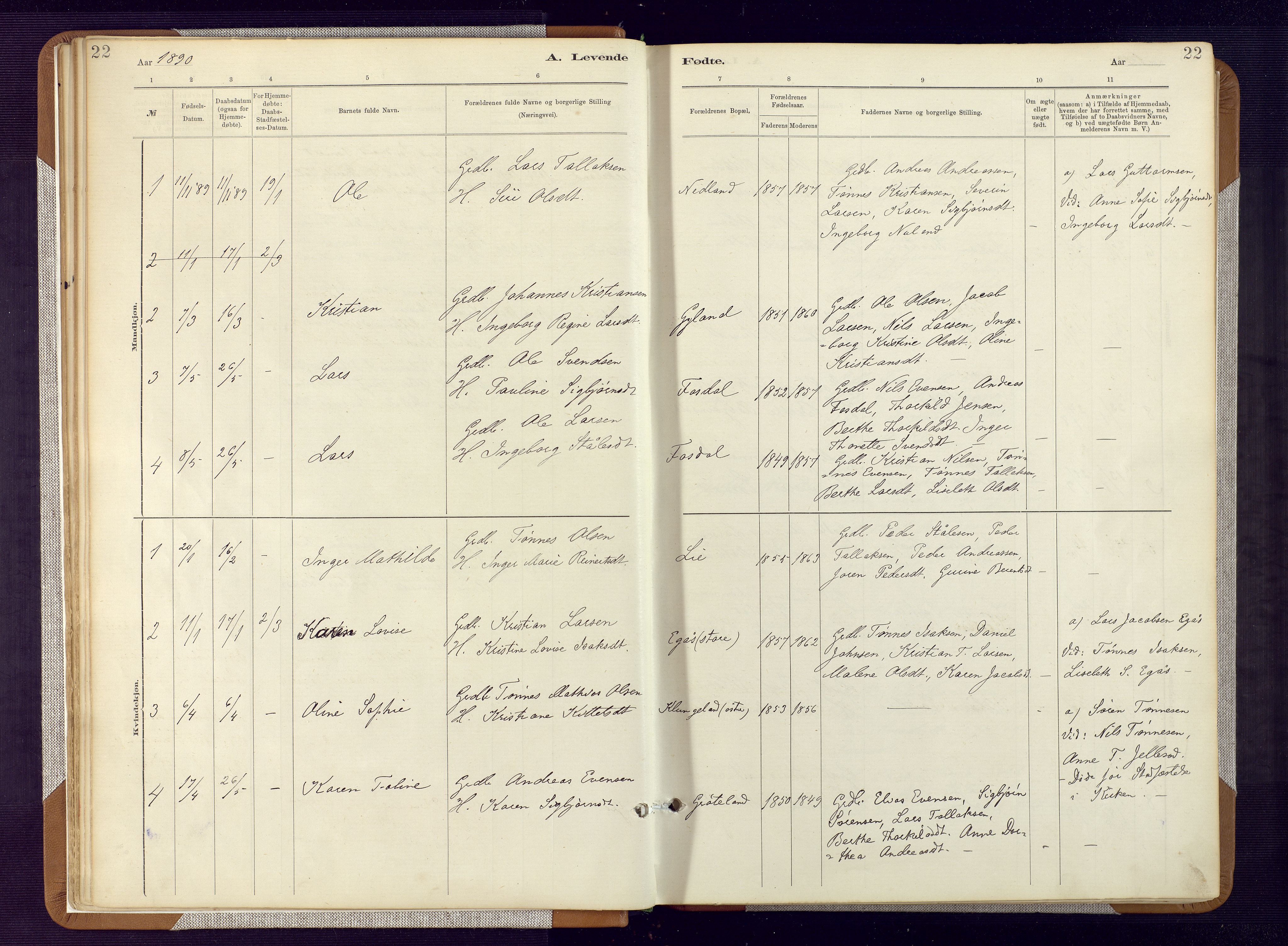 Bakke sokneprestkontor, SAK/1111-0002/F/Fa/Fab/L0003: Parish register (official) no. A 3, 1884-1921, p. 22