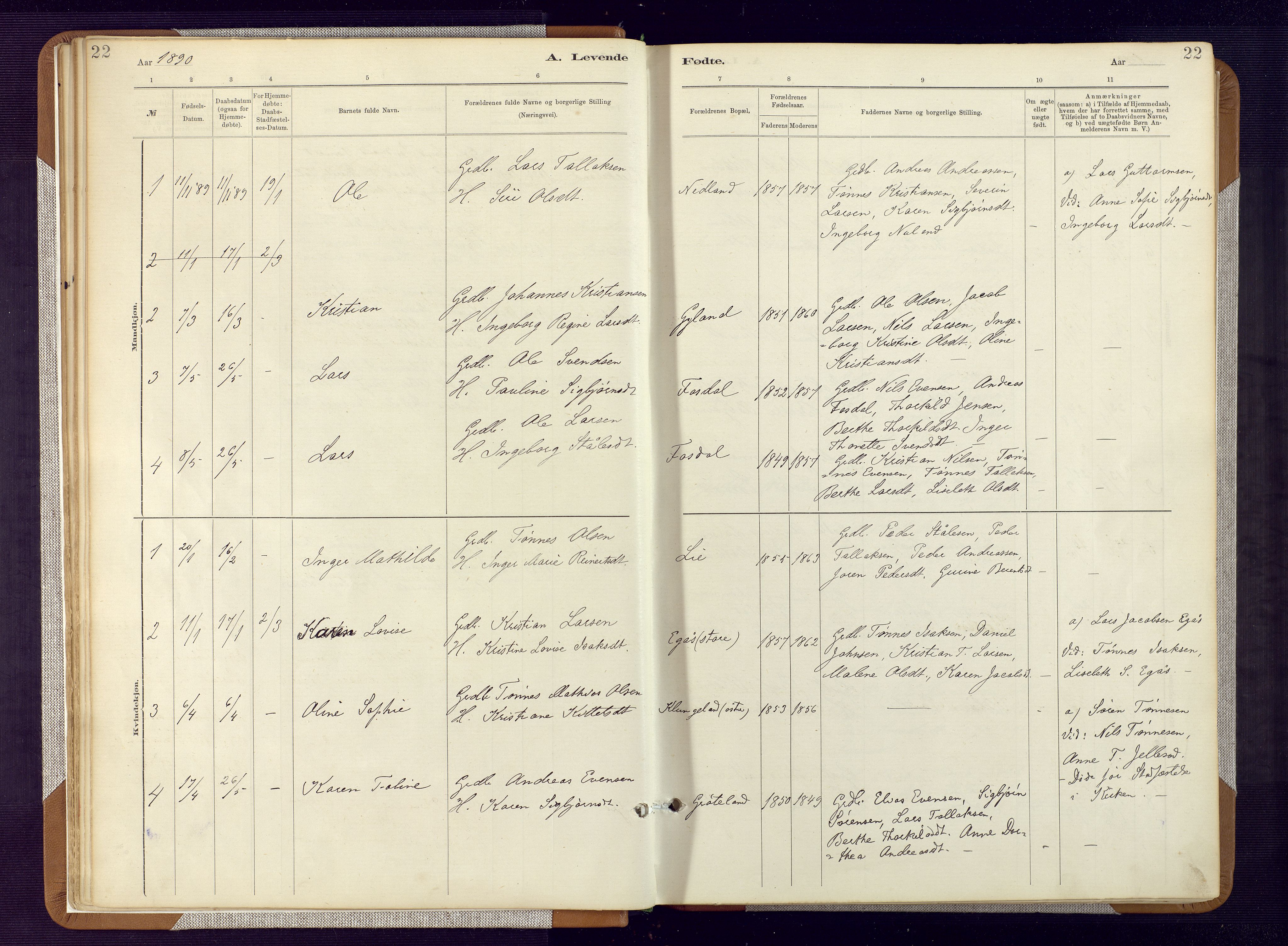 Bakke sokneprestkontor, AV/SAK-1111-0002/F/Fa/Fab/L0003: Parish register (official) no. A 3, 1884-1921, p. 22