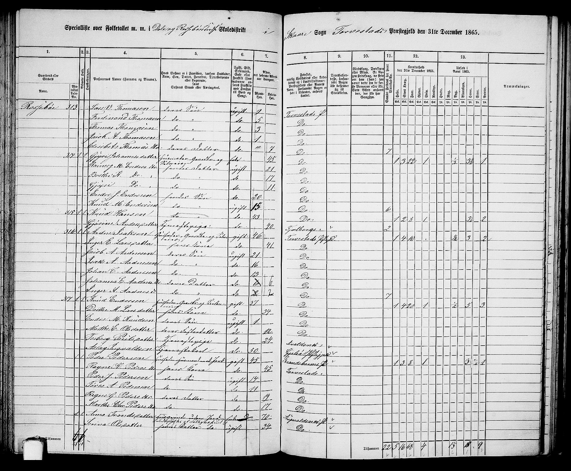 RA, 1865 census for Torvastad/Torvastad, Skåre og Utsira, 1865, p. 107