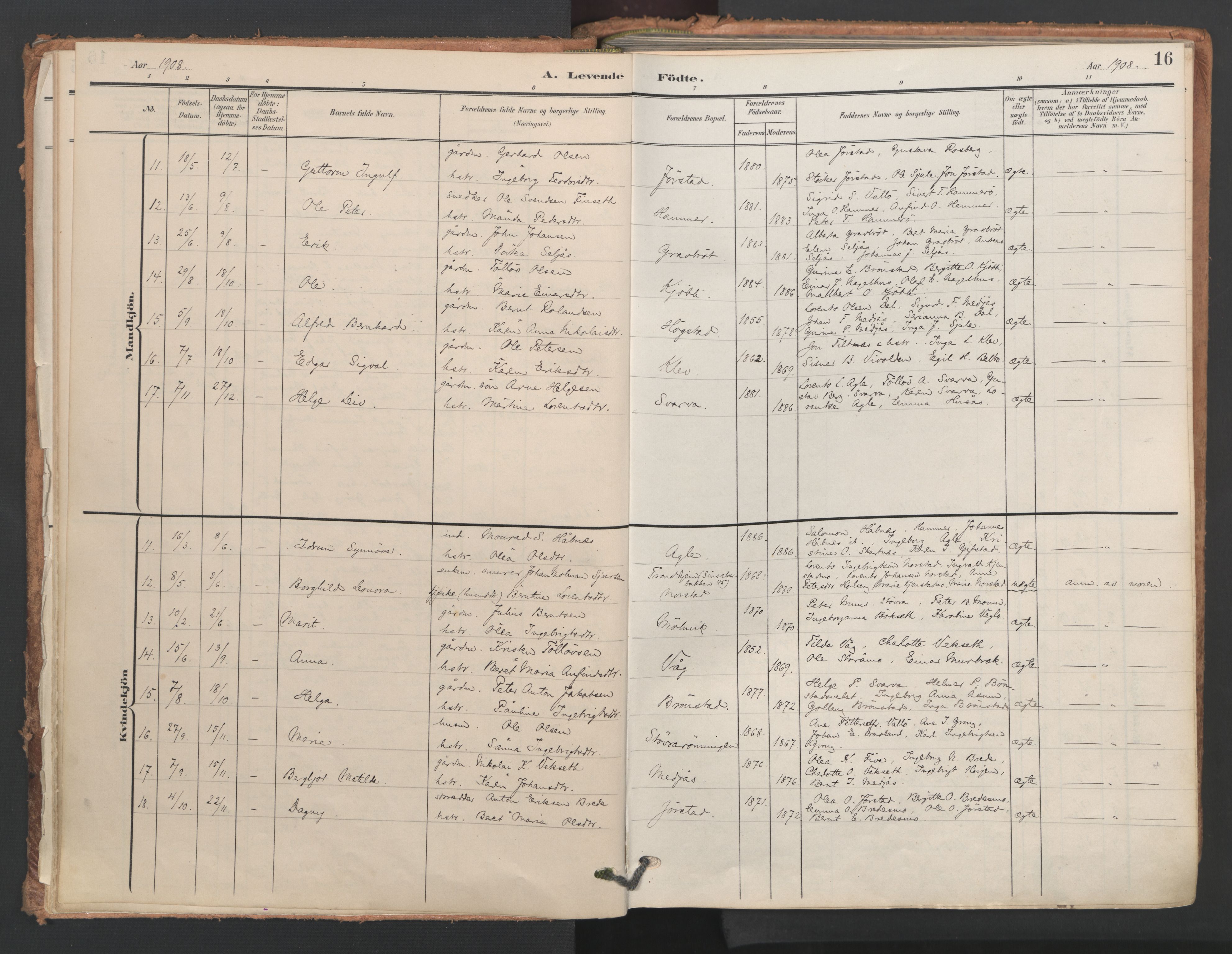 Ministerialprotokoller, klokkerbøker og fødselsregistre - Nord-Trøndelag, SAT/A-1458/749/L0477: Parish register (official) no. 749A11, 1902-1927, p. 16