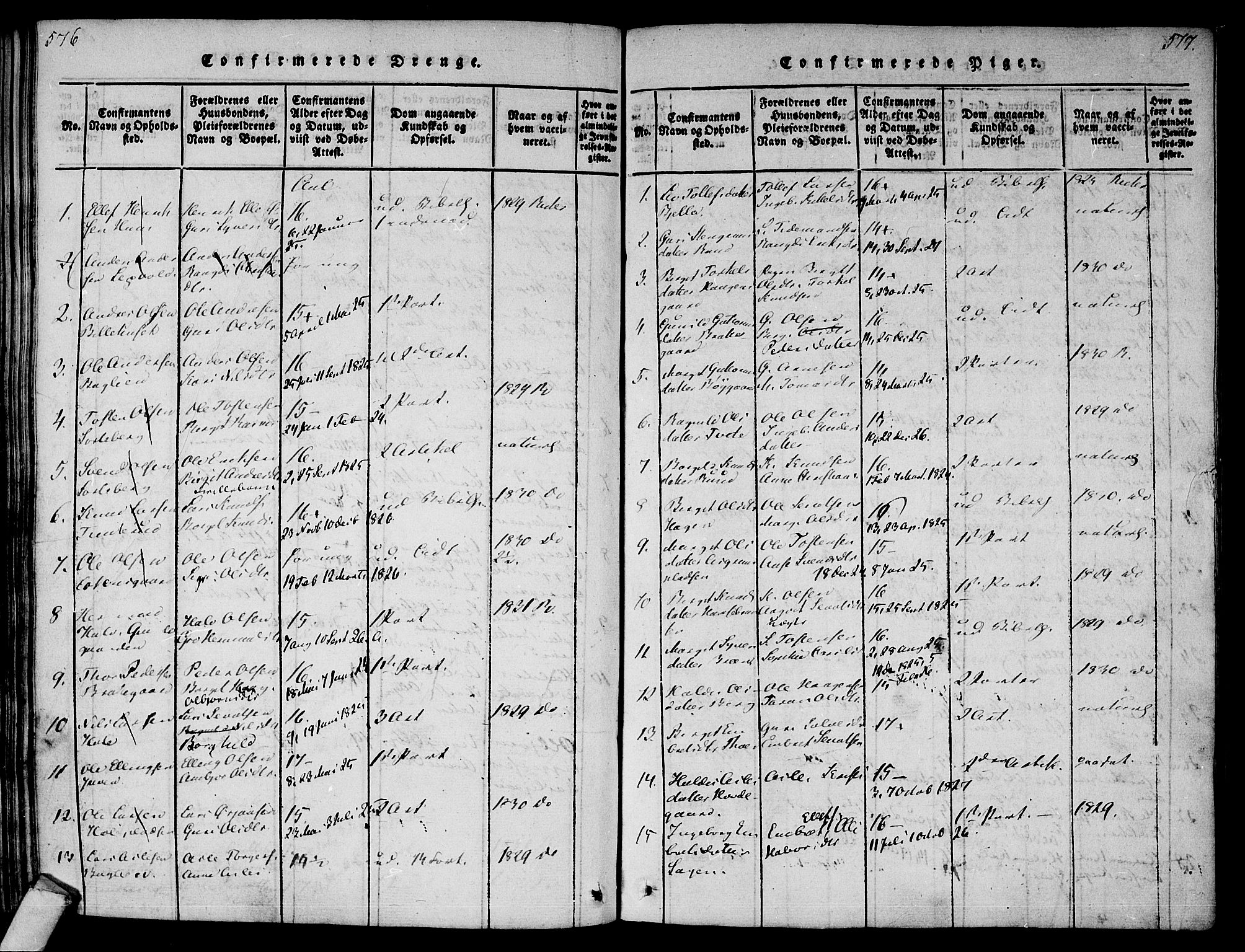 Ål kirkebøker, SAKO/A-249/F/Fa/L0004: Parish register (official) no. I 4, 1815-1825, p. 576-577