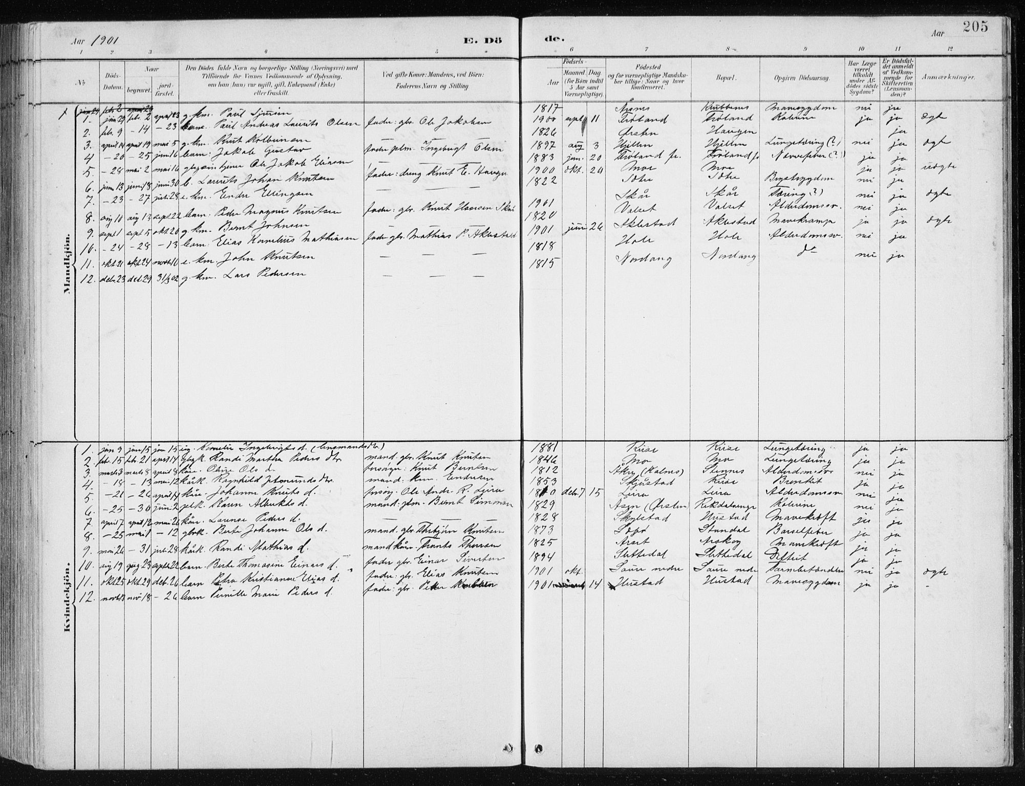 Ministerialprotokoller, klokkerbøker og fødselsregistre - Møre og Romsdal, AV/SAT-A-1454/515/L0215: Parish register (copy) no. 515C02, 1884-1906, p. 205