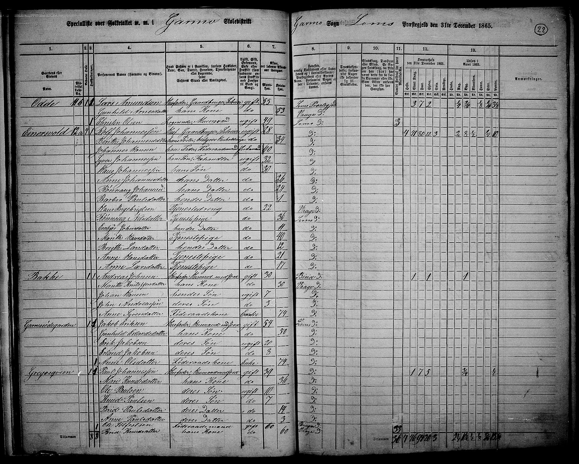 RA, 1865 census for Lom, 1865, p. 20