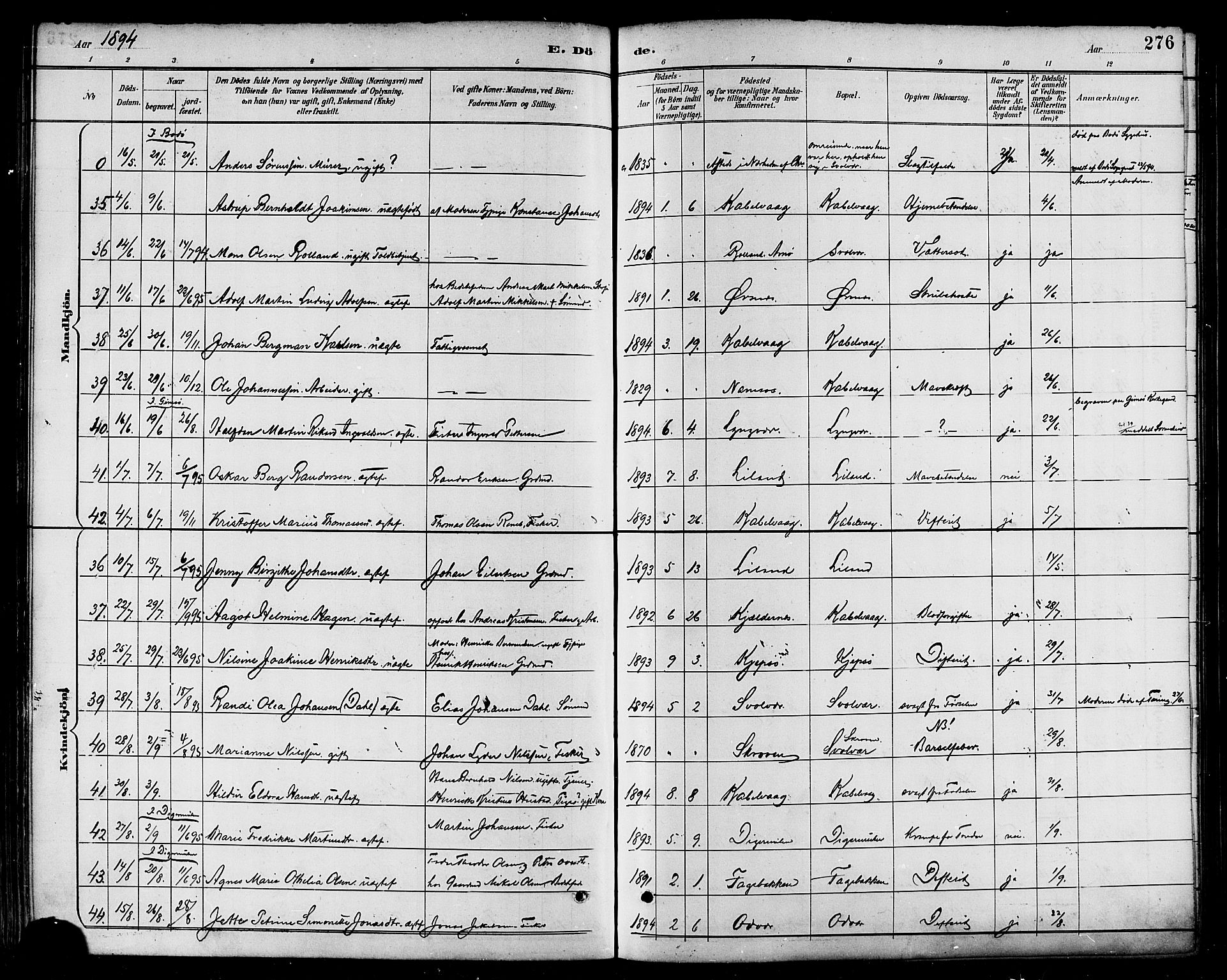 Ministerialprotokoller, klokkerbøker og fødselsregistre - Nordland, SAT/A-1459/874/L1060: Parish register (official) no. 874A04, 1890-1899, p. 276