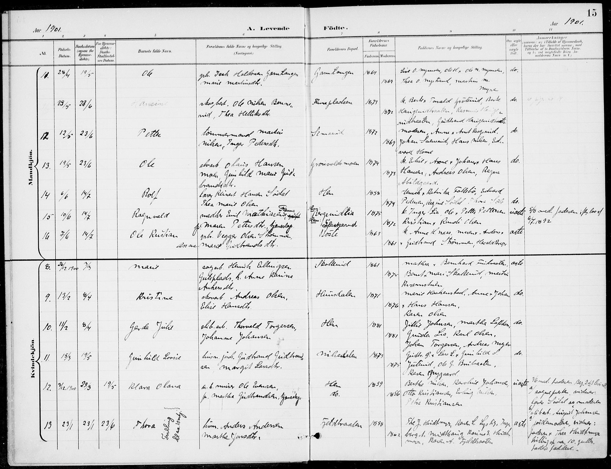 Ådal kirkebøker, AV/SAKO-A-248/F/Fb/L0002: Parish register (official) no. II 2, 1898-1917, p. 15