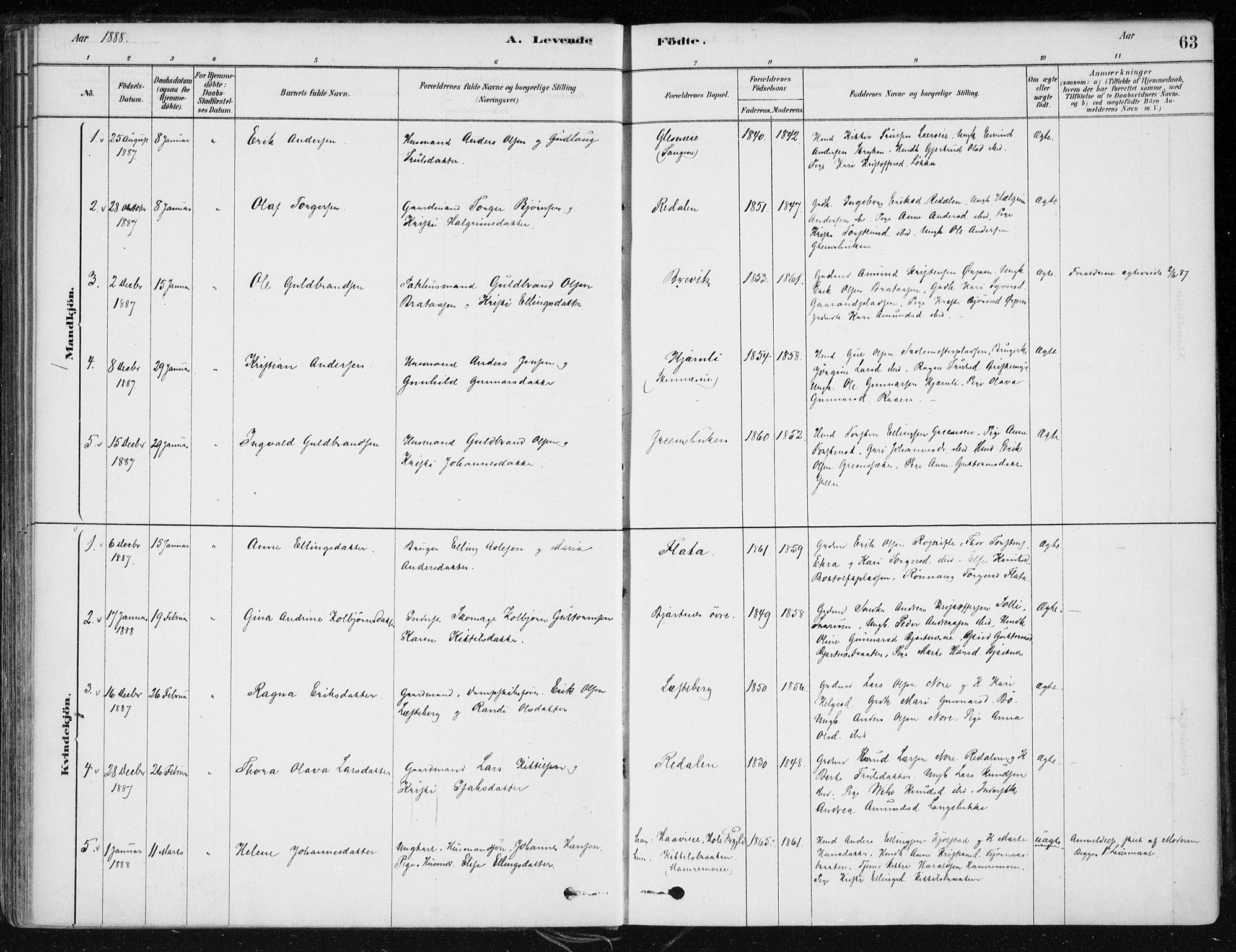 Krødsherad kirkebøker, SAKO/A-19/F/Fa/L0005: Parish register (official) no. 5, 1879-1888, p. 63