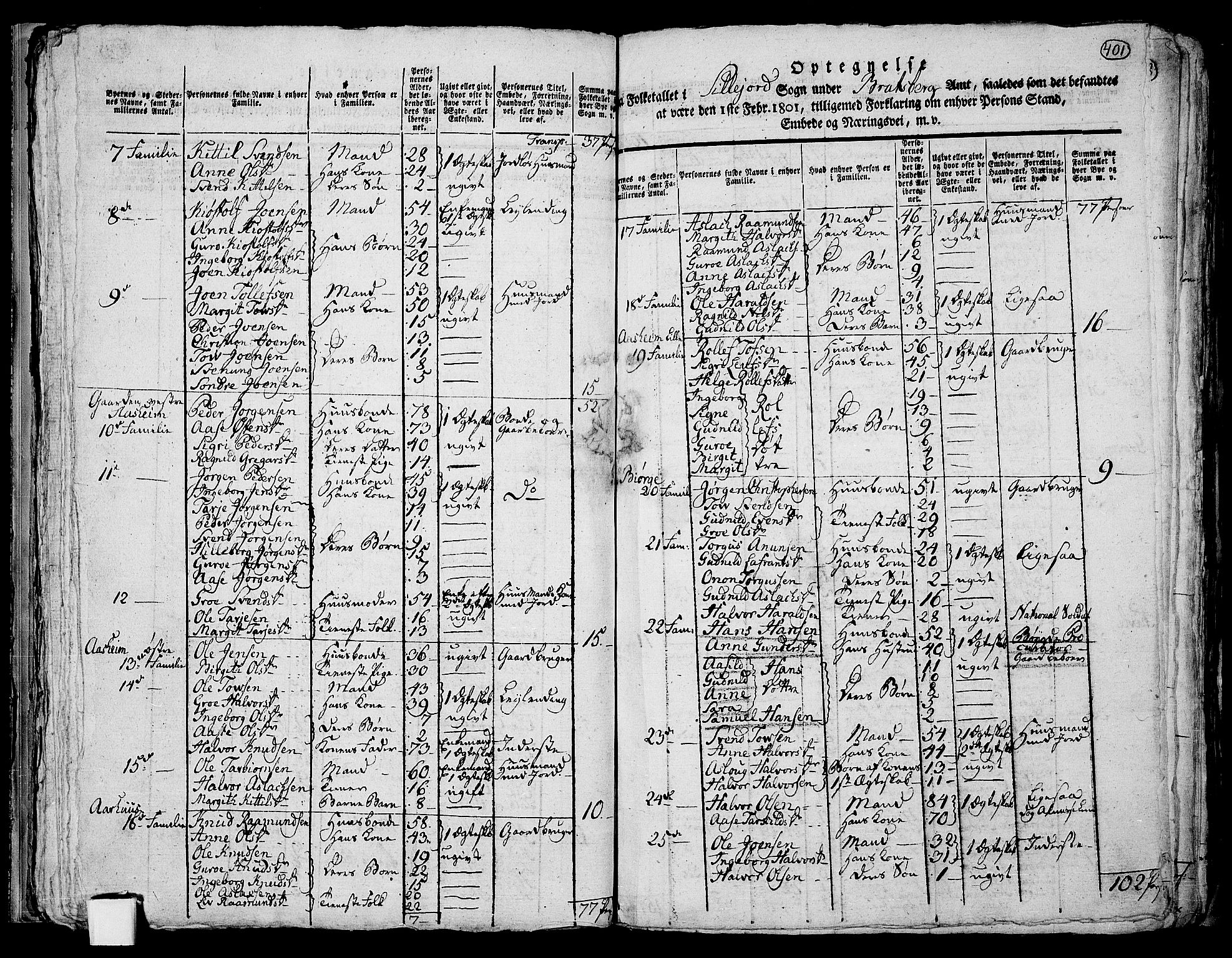 RA, 1801 census for 0828P Seljord, 1801, p. 400b-401a