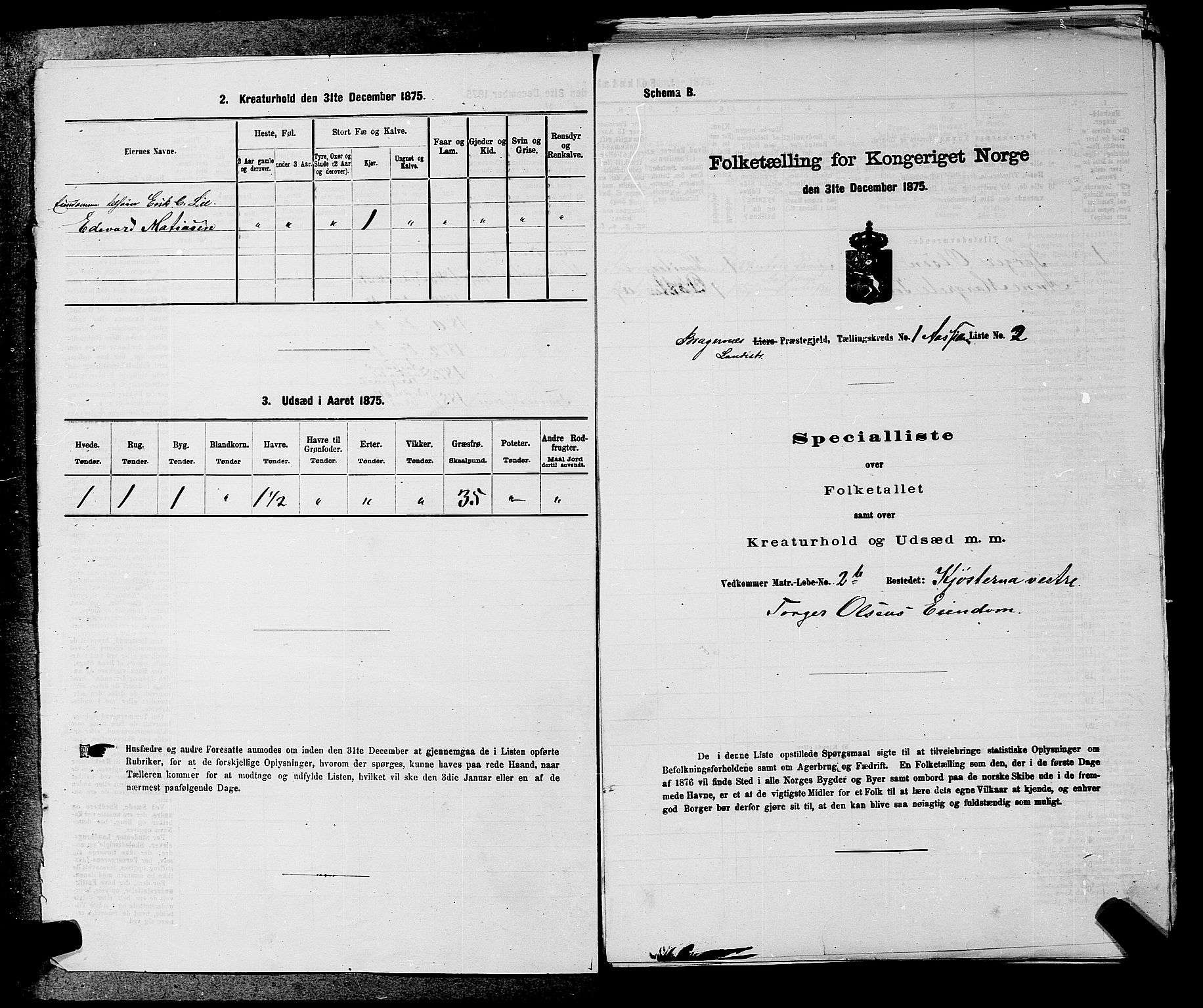 SAKO, 1875 census for 0626P Lier, 1875, p. 81