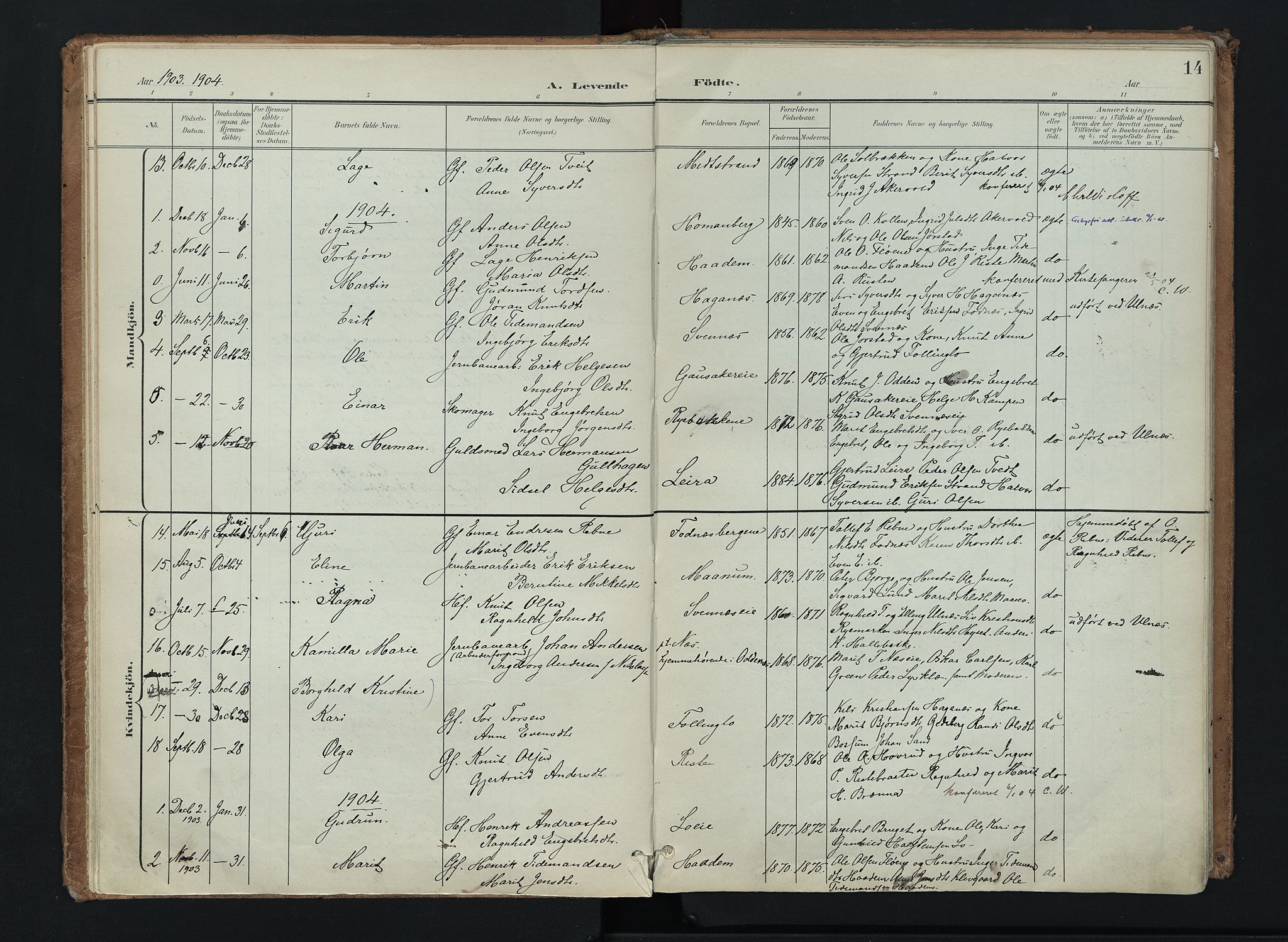 Nord-Aurdal prestekontor, AV/SAH-PREST-132/H/Ha/Haa/L0016: Parish register (official) no. 16, 1897-1925, p. 14