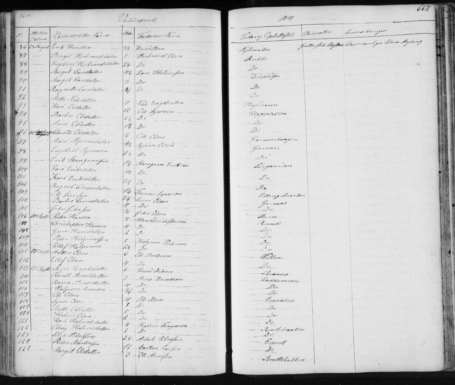 Nes kirkebøker, AV/SAKO-A-236/F/Fa/L0009: Parish register (official) no. 9, 1834-1863, p. 667