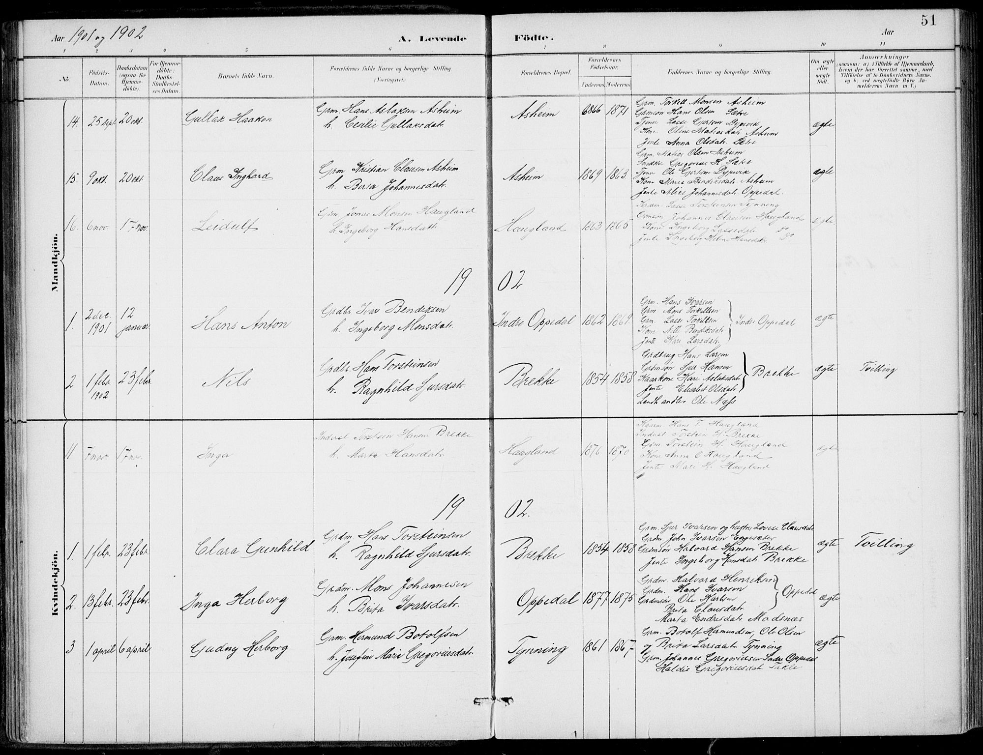 Gulen sokneprestembete, AV/SAB-A-80201/H/Haa/Haac/L0002: Parish register (official) no. C  2, 1882-1914, p. 51