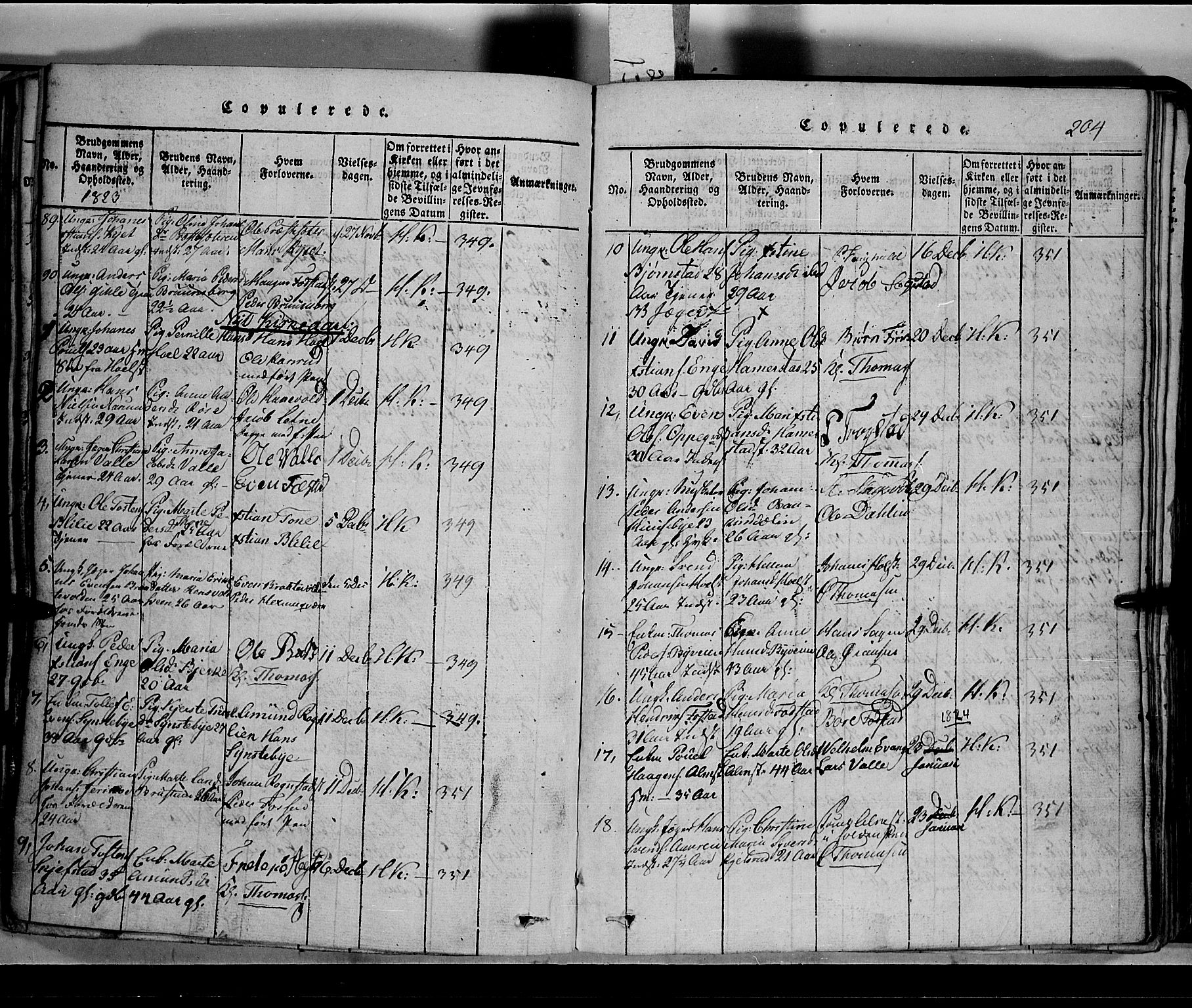 Toten prestekontor, SAH/PREST-102/H/Ha/Hab/L0002: Parish register (copy) no. 2, 1820-1827, p. 204