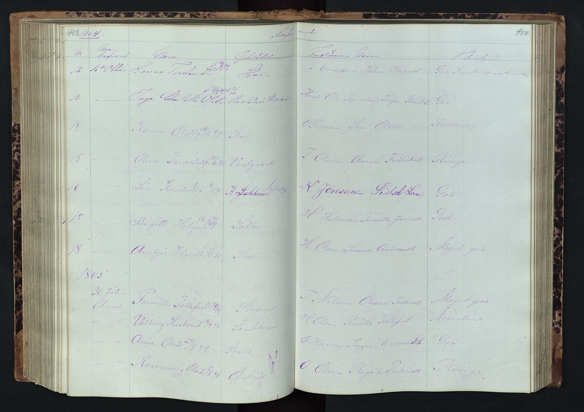 Stor-Elvdal prestekontor, SAH/PREST-052/H/Ha/Hab/L0001: Parish register (copy) no. 1 /1, 1860-1894, p. 453-454