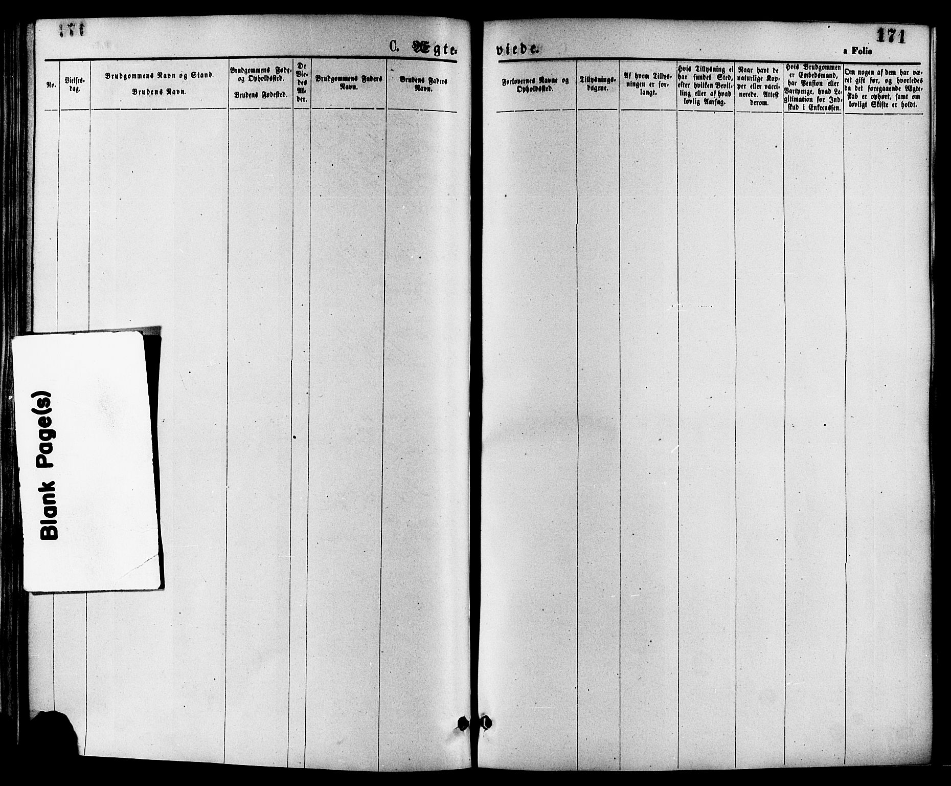 Nedstrand sokneprestkontor, SAST/A-101841/01/IV: Parish register (official) no. A 11, 1877-1887, p. 171