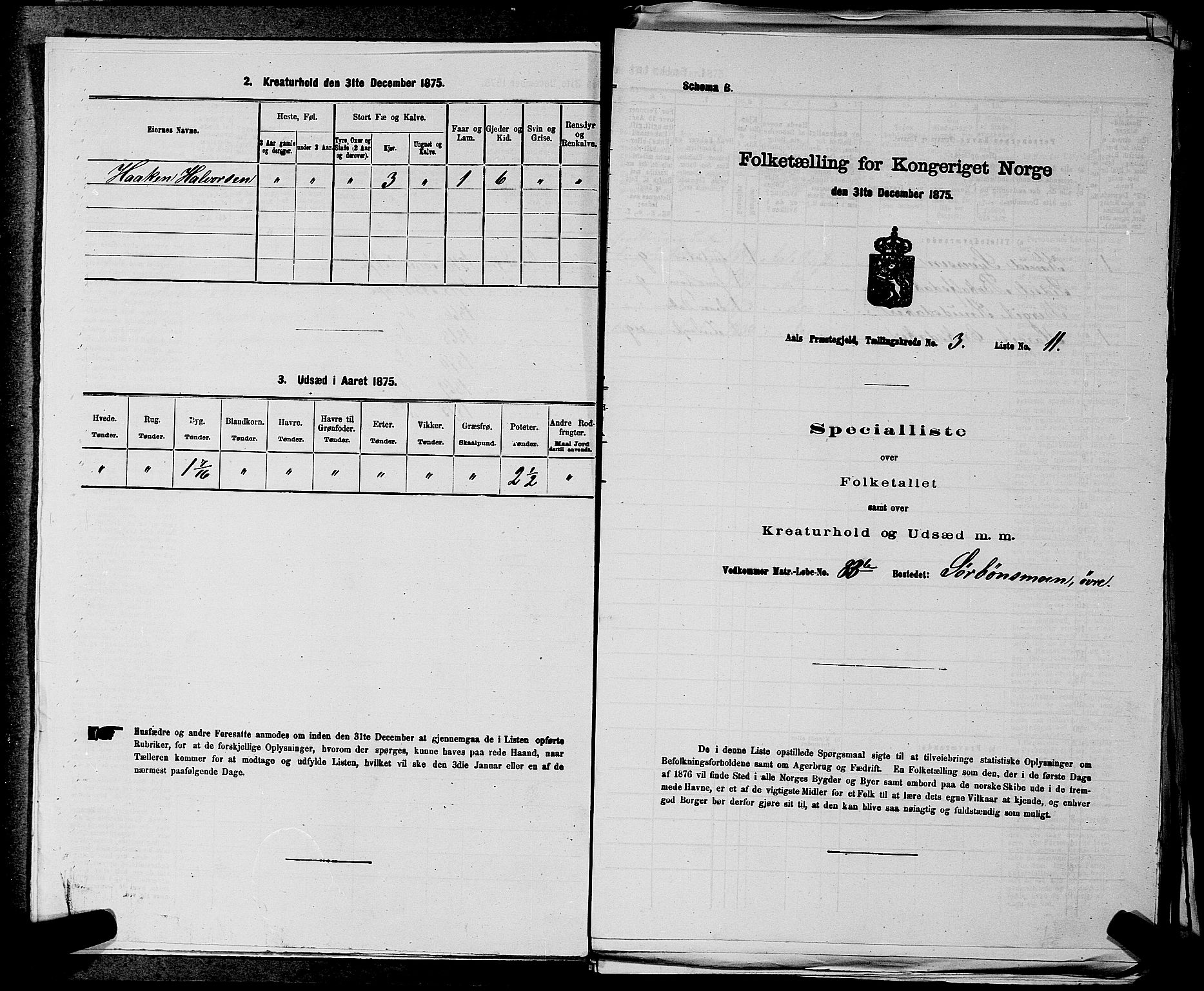 SAKO, 1875 census for 0619P Ål, 1875, p. 336