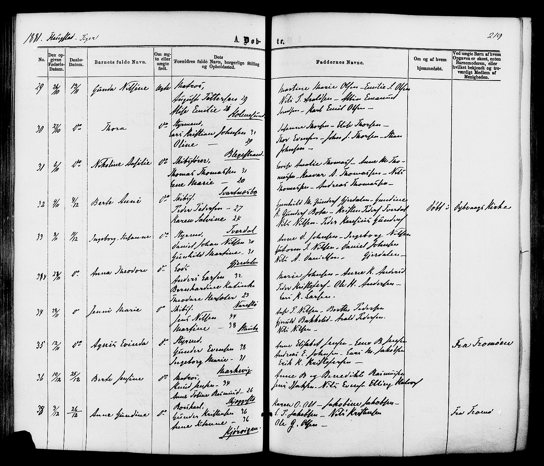 Dypvåg sokneprestkontor, SAK/1111-0007/F/Fa/Faa/L0007: Parish register (official) no. A 7 /2, 1877-1884, p. 219