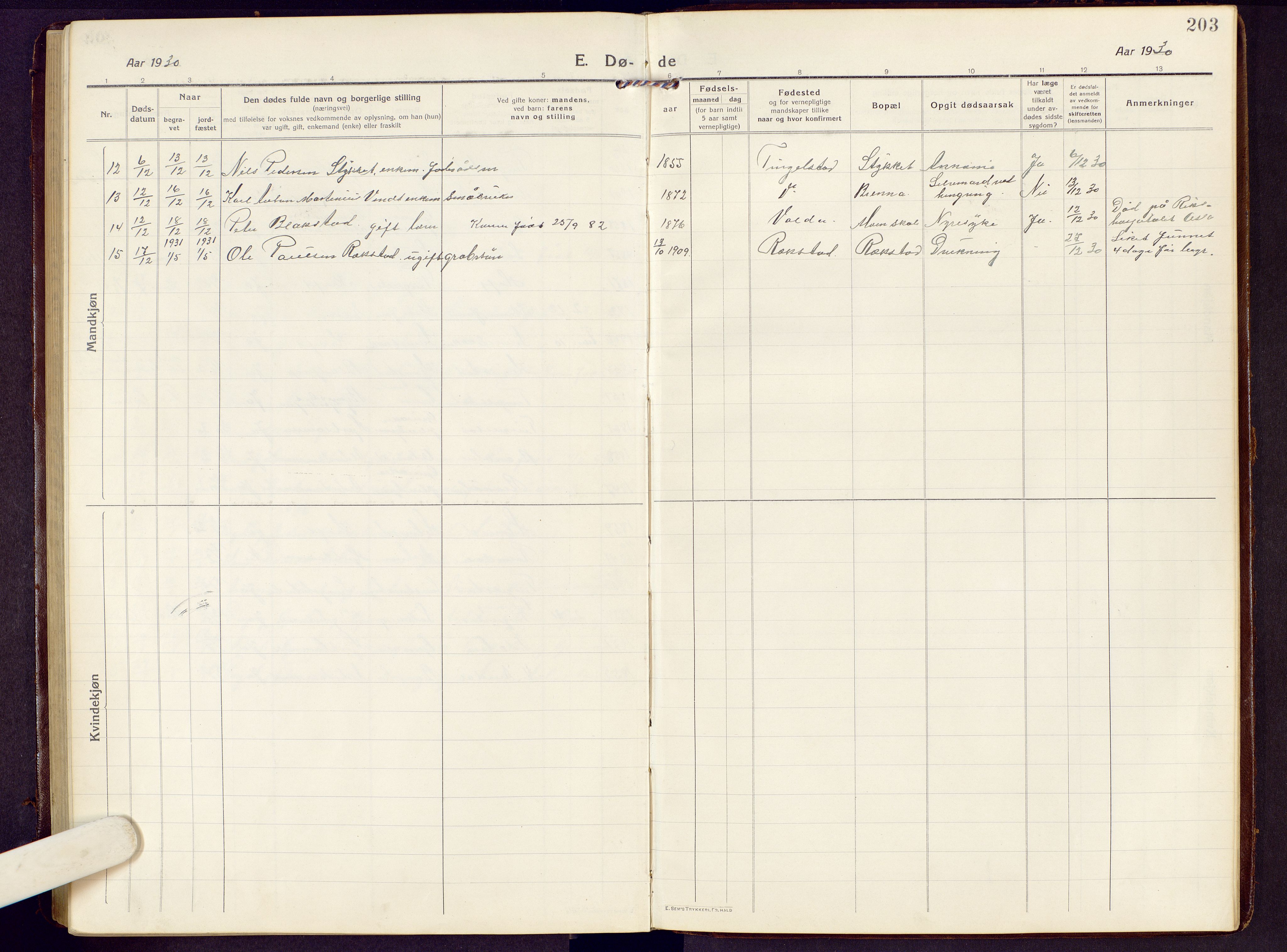 Brandbu prestekontor, SAH/PREST-114/H/Ha/Hab/L0010: Parish register (copy) no. 10, 1916-1930, p. 203