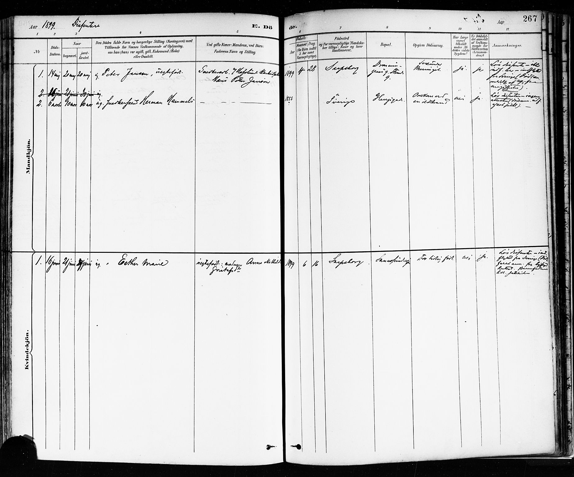 Sarpsborg prestekontor Kirkebøker, SAO/A-2006/F/Fa/L0004: Parish register (official) no. 4, 1892-1899, p. 267