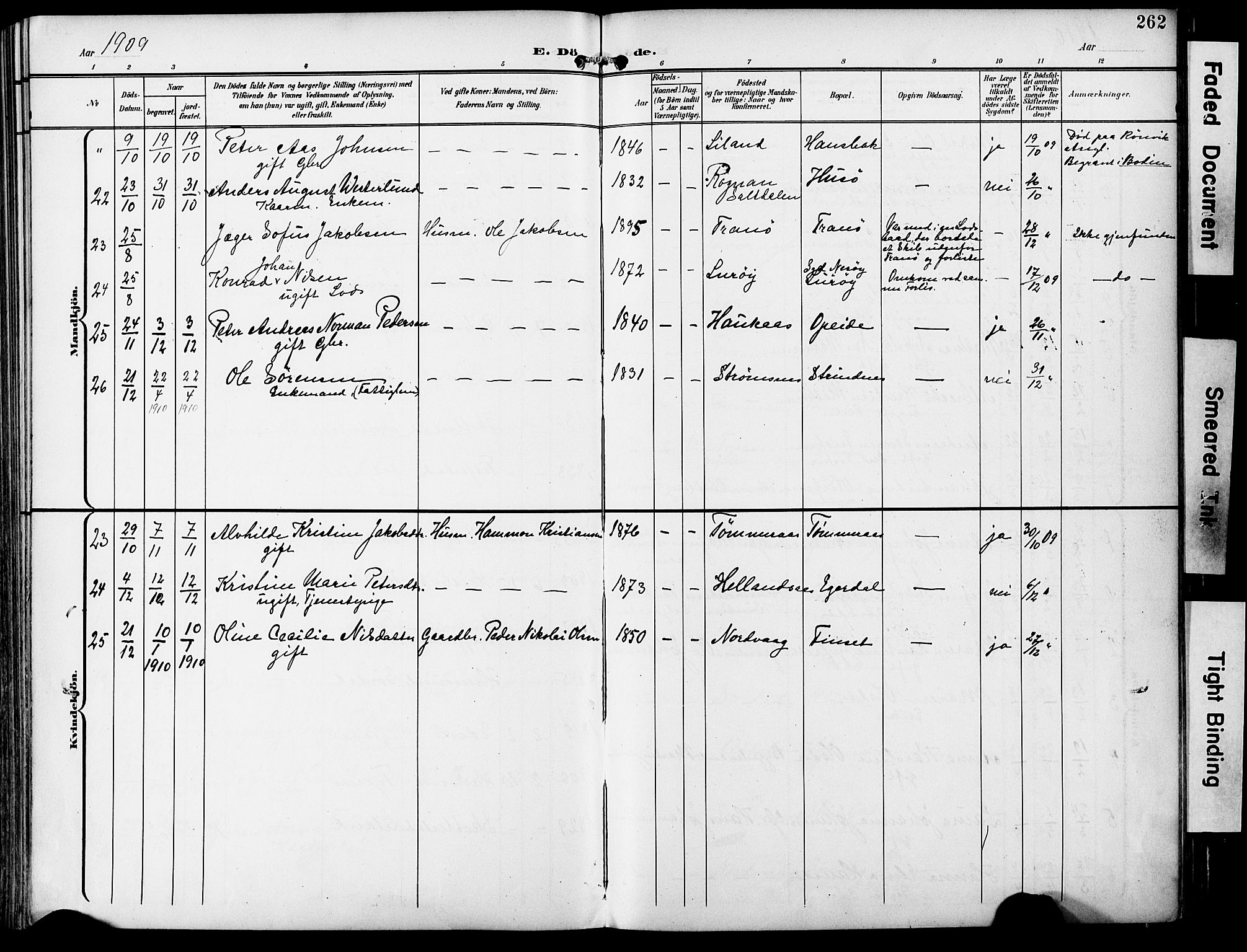 Ministerialprotokoller, klokkerbøker og fødselsregistre - Nordland, AV/SAT-A-1459/859/L0848: Parish register (official) no. 859A08, 1900-1912, p. 262