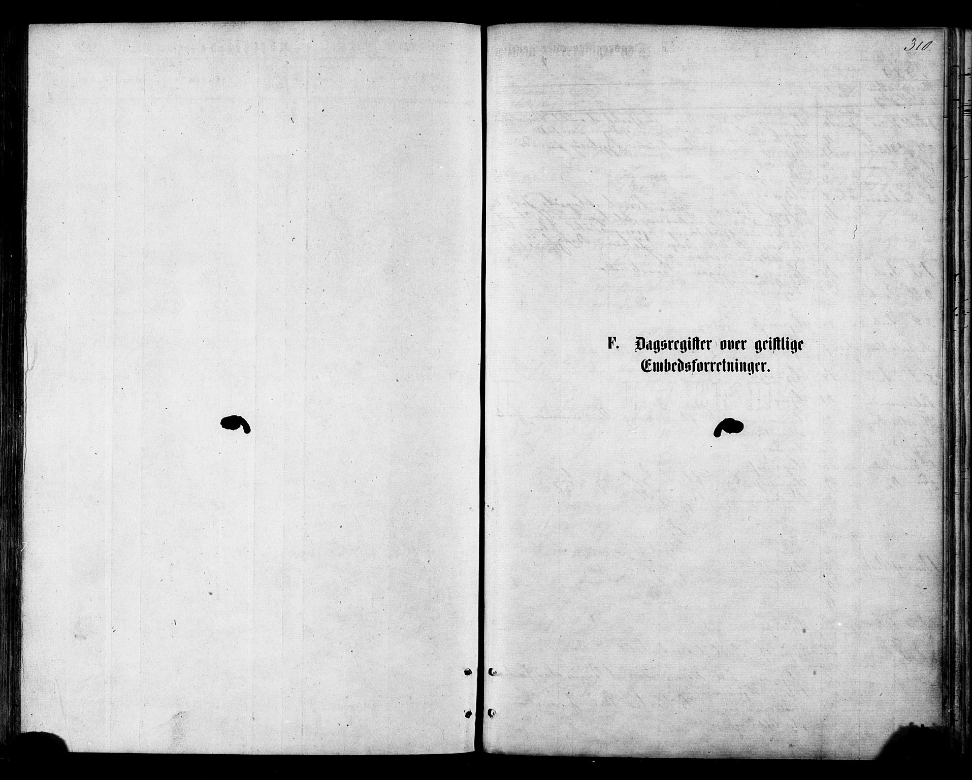 Ministerialprotokoller, klokkerbøker og fødselsregistre - Nordland, AV/SAT-A-1459/855/L0802: Parish register (official) no. 855A10, 1875-1886, p. 310