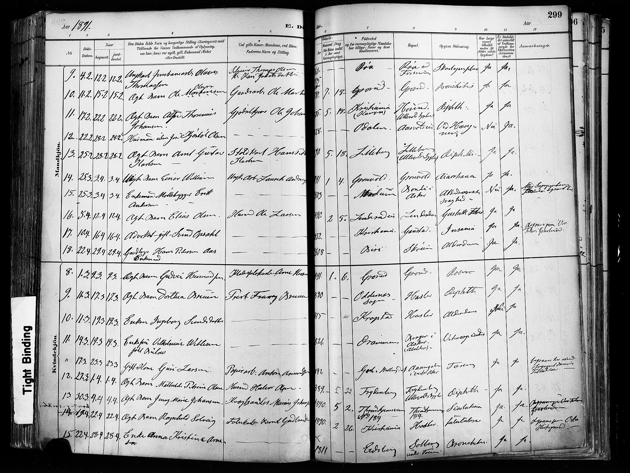 Østre Aker prestekontor Kirkebøker, AV/SAO-A-10840/F/Fa/L0008: Parish register (official) no. I 8, 1883-1894, p. 299