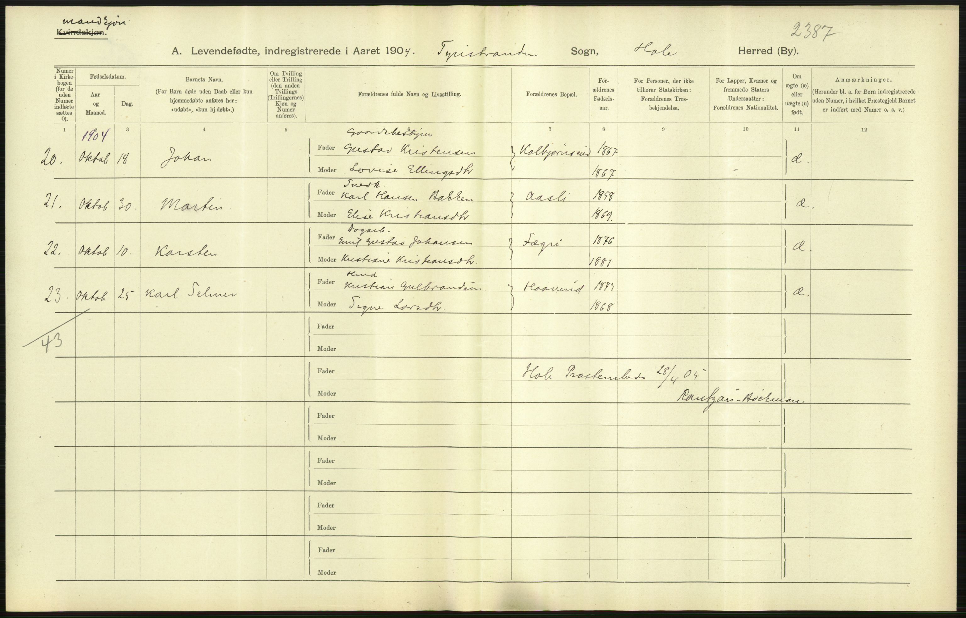 Statistisk sentralbyrå, Sosiodemografiske emner, Befolkning, AV/RA-S-2228/D/Df/Dfa/Dfab/L0007: Buskerud amt: Fødte, gifte, døde, 1904, p. 31