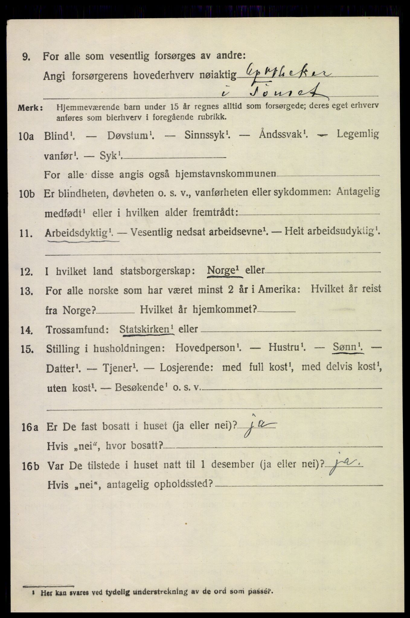 SAH, 1920 census for Tynset, 1920, p. 5473