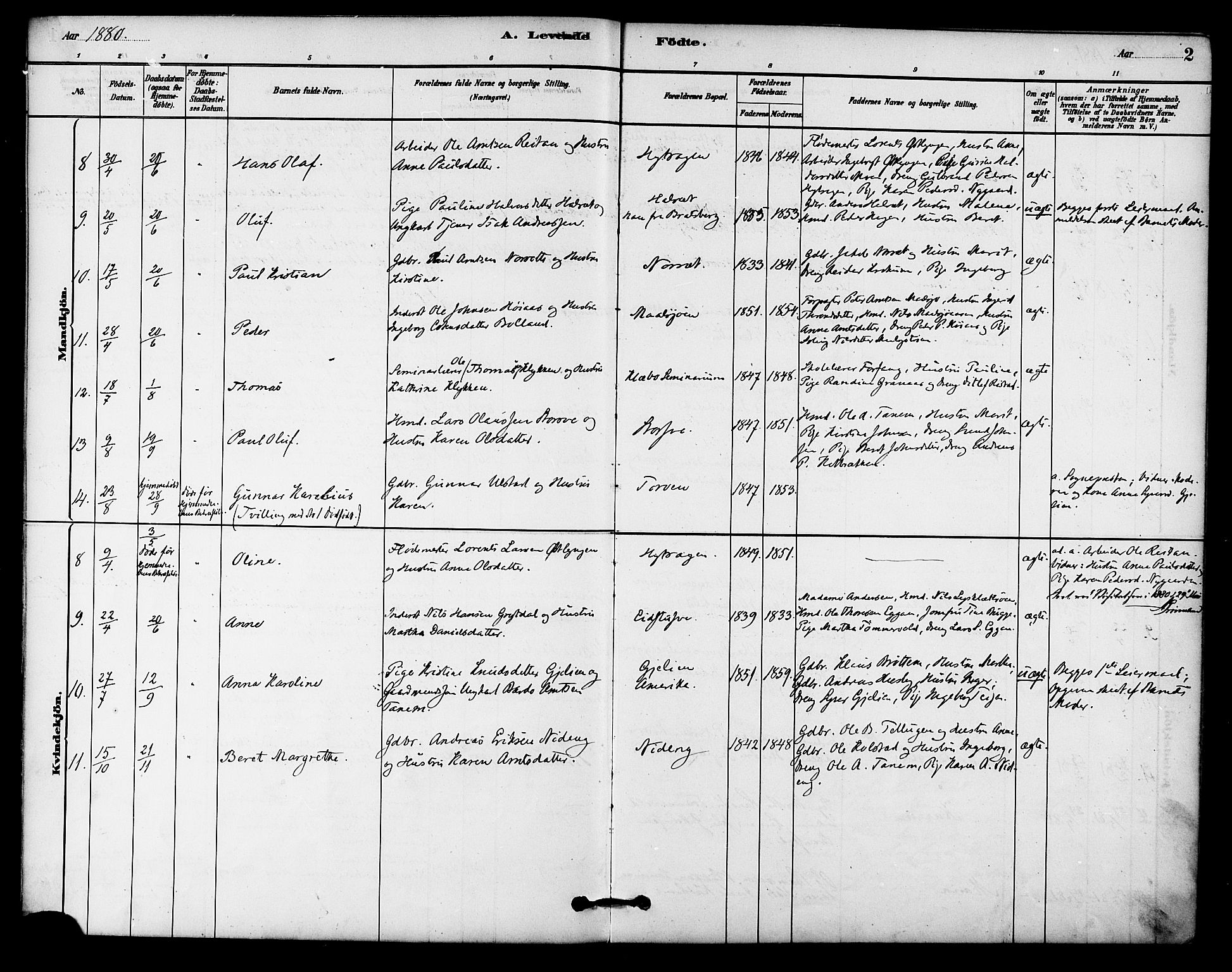 Ministerialprotokoller, klokkerbøker og fødselsregistre - Sør-Trøndelag, AV/SAT-A-1456/618/L0444: Parish register (official) no. 618A07, 1880-1898, p. 2