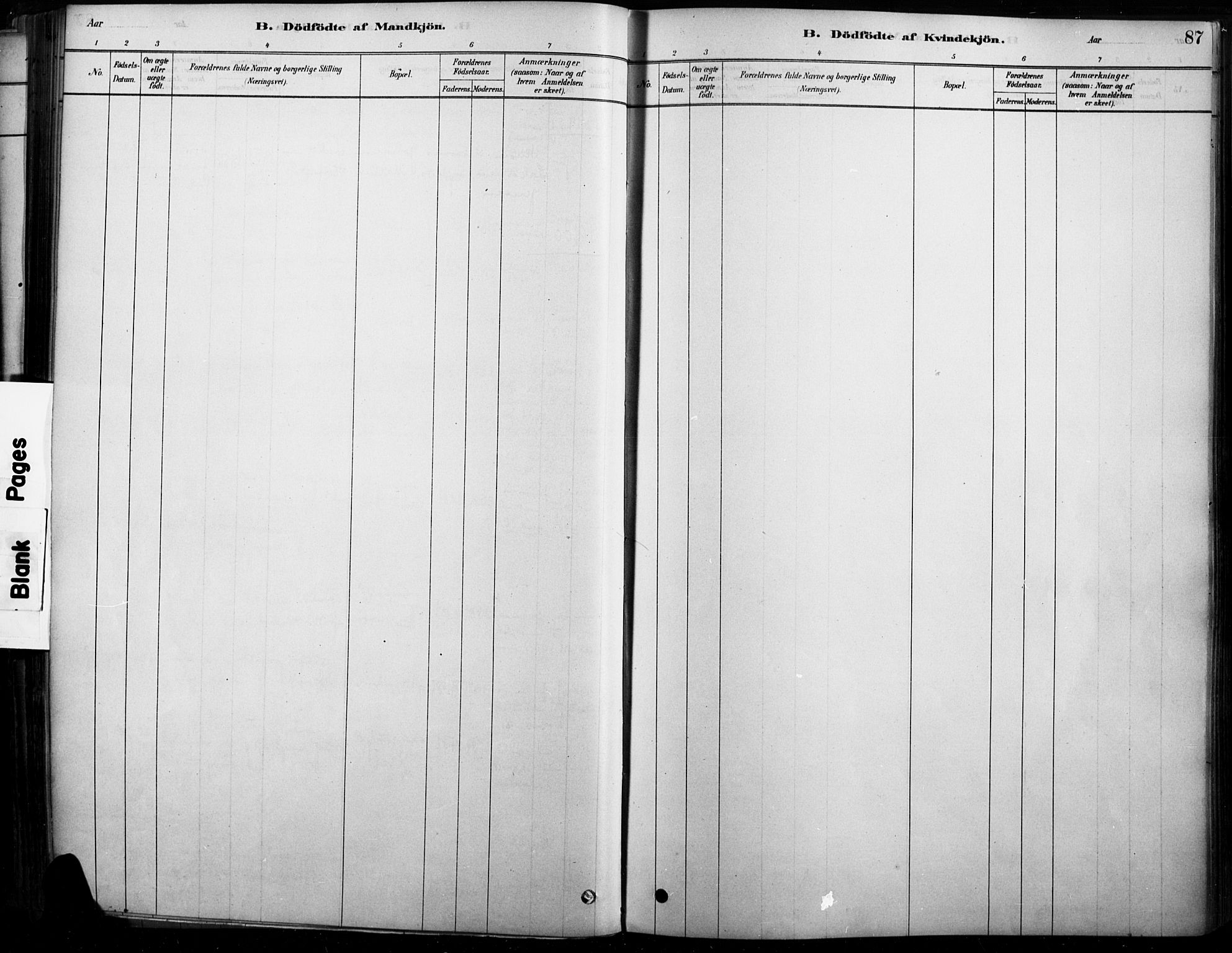 Rendalen prestekontor, SAH/PREST-054/H/Ha/Haa/L0009: Parish register (official) no. 9, 1878-1901, p. 87