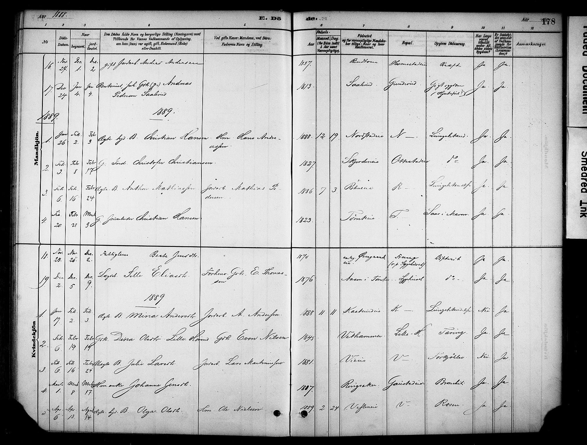 Stange prestekontor, AV/SAH-PREST-002/K/L0019: Parish register (official) no. 19, 1880-1891, p. 178