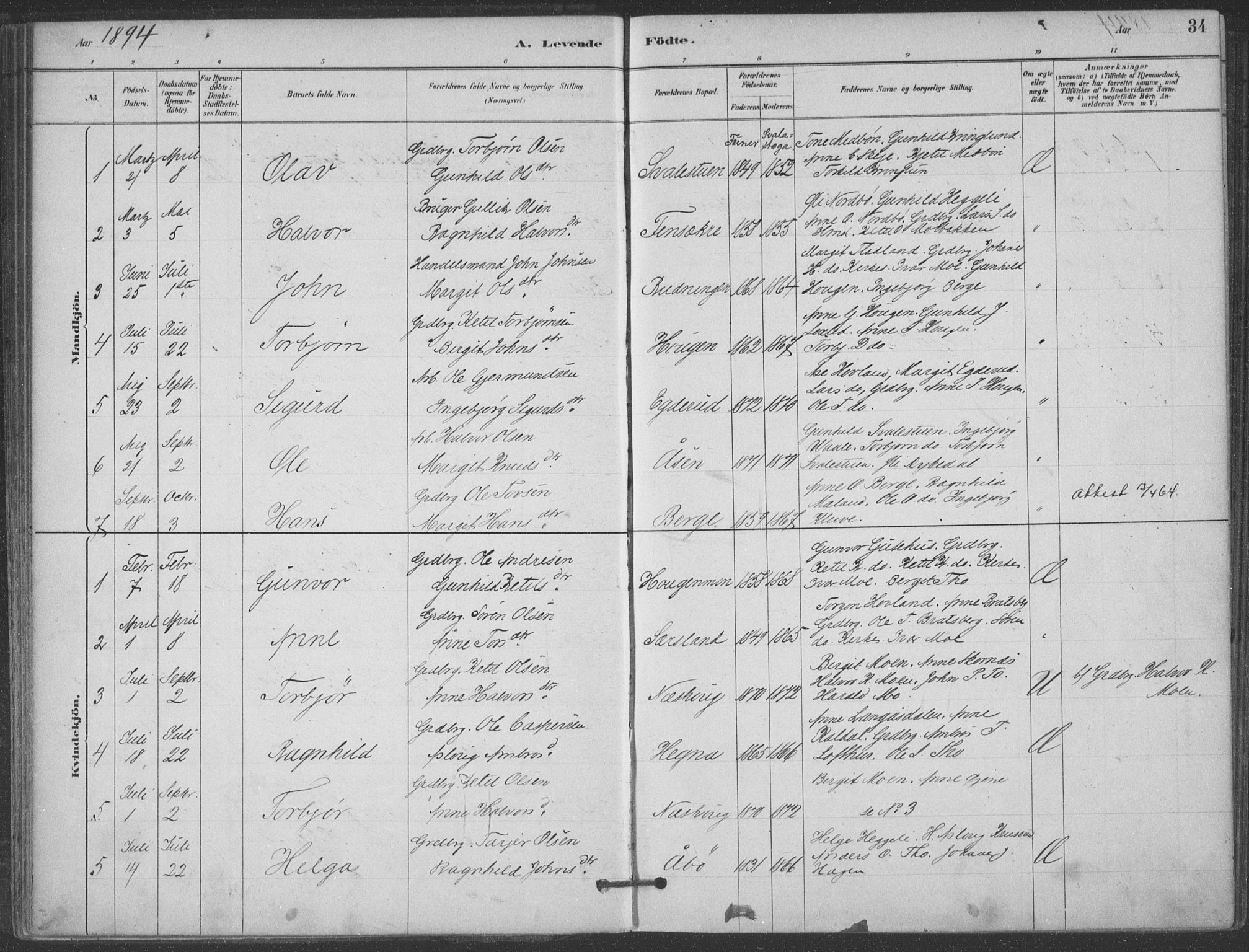 Hjartdal kirkebøker, SAKO/A-270/F/Fa/L0010: Parish register (official) no. I 10, 1880-1929, p. 34
