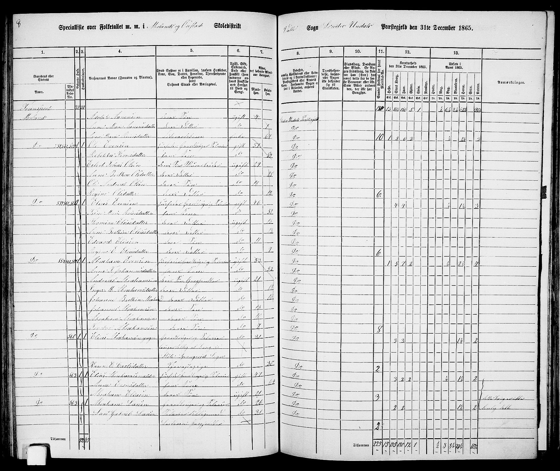 RA, 1865 census for Sør-Audnedal, 1865, p. 122