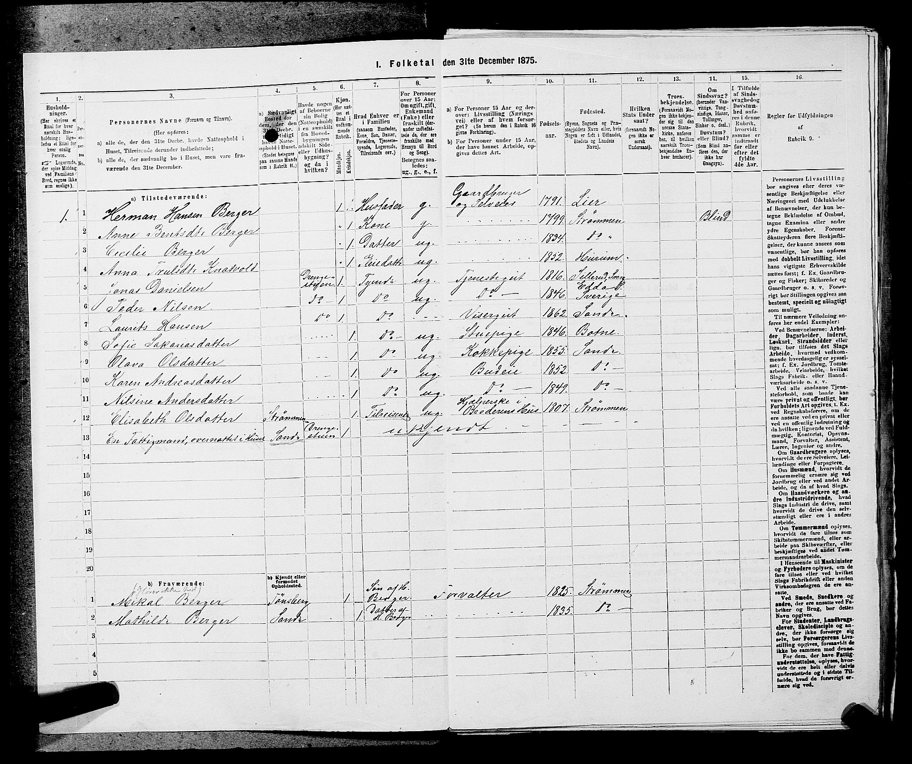 SAKO, 1875 census for 0711L Strømm/Strømm, 1875, p. 383