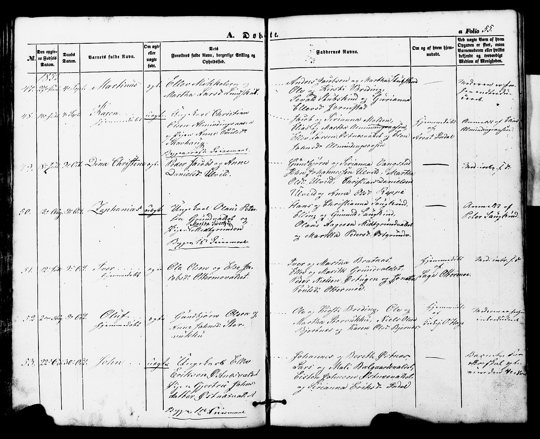 Ministerialprotokoller, klokkerbøker og fødselsregistre - Nord-Trøndelag, AV/SAT-A-1458/724/L0268: Parish register (copy) no. 724C04, 1846-1878, p. 55