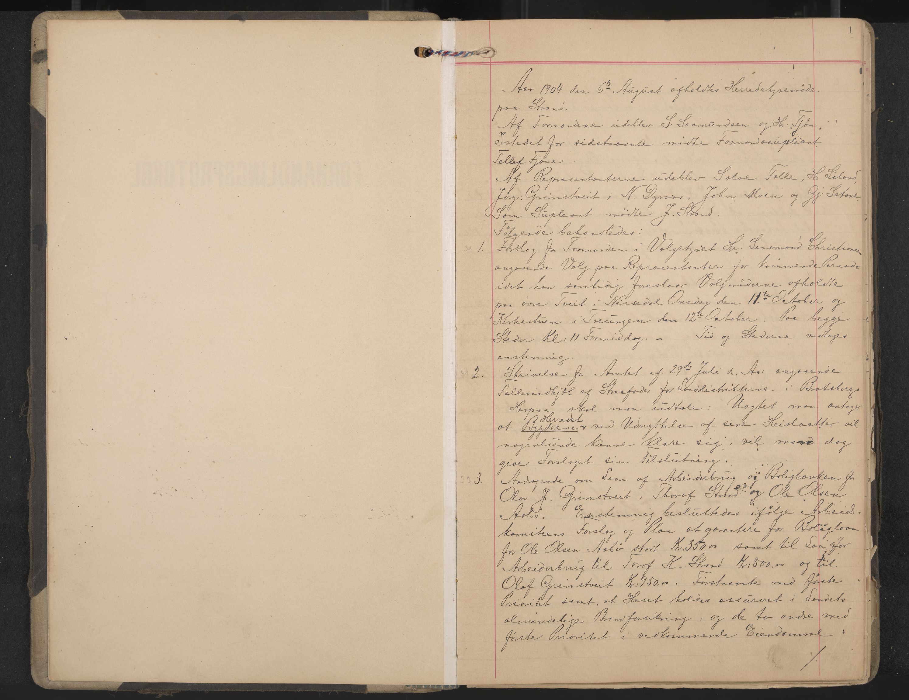 Nissedal formannskap og sentraladministrasjon, IKAK/0830021-1/A/L0004: Møtebok, 1904-1912, p. 1