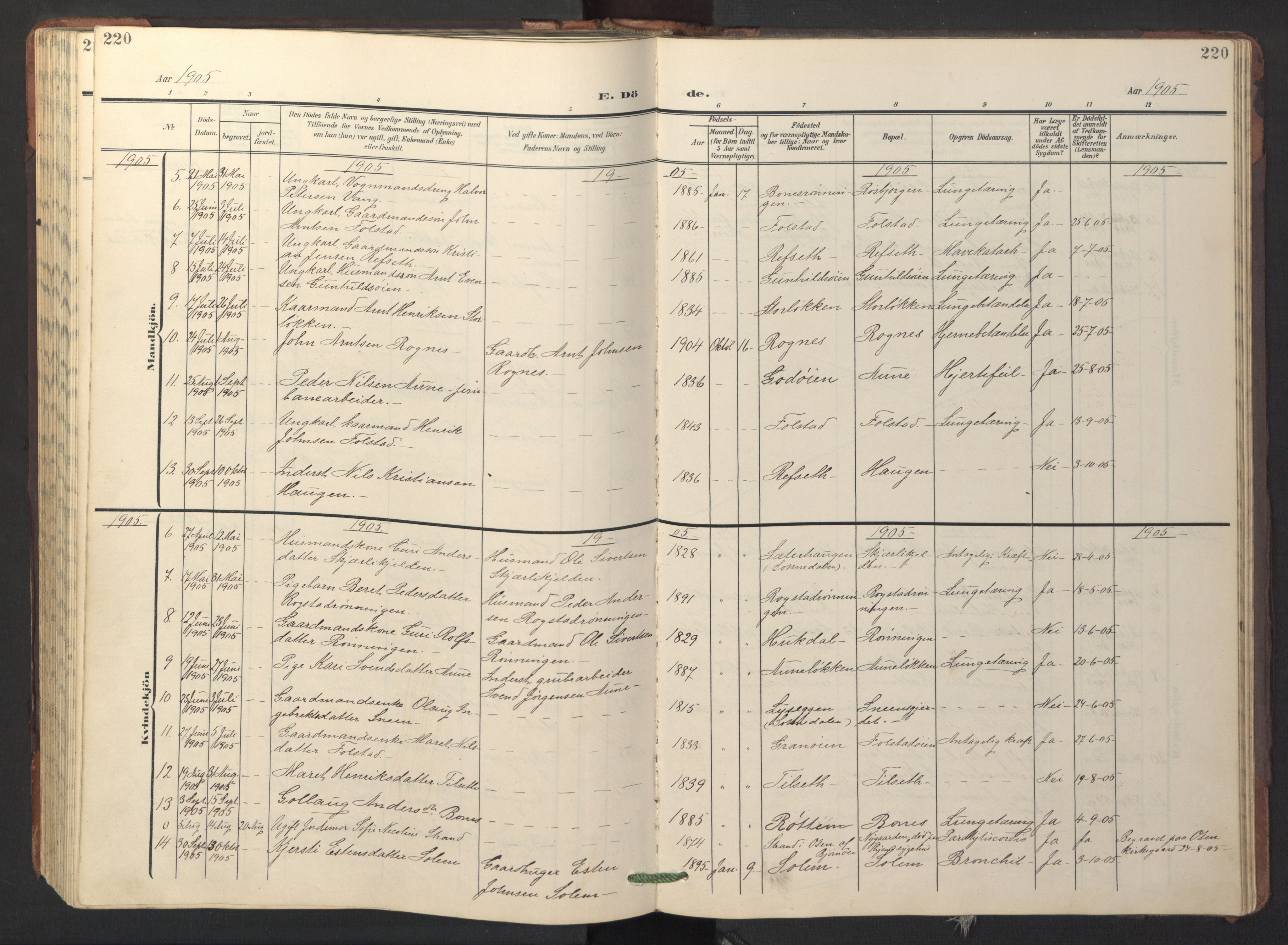 Ministerialprotokoller, klokkerbøker og fødselsregistre - Sør-Trøndelag, SAT/A-1456/687/L1019: Parish register (copy) no. 687C03, 1904-1931, p. 220
