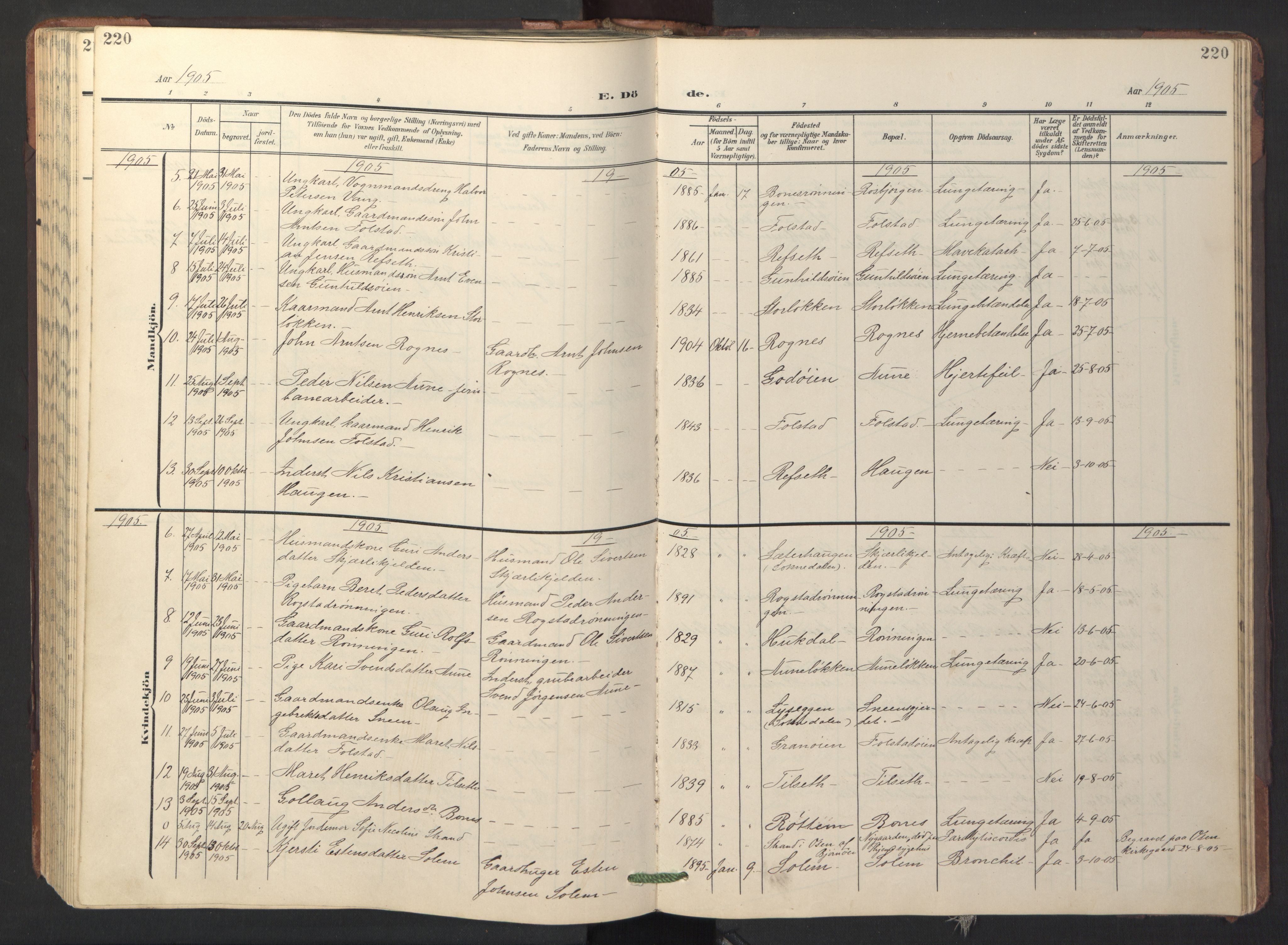 Ministerialprotokoller, klokkerbøker og fødselsregistre - Sør-Trøndelag, AV/SAT-A-1456/687/L1019: Parish register (copy) no. 687C03, 1904-1931, p. 220